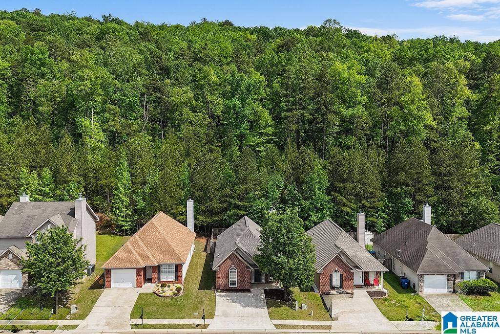 Sterrett, AL 35147,4116 FOREST LAKES ROAD