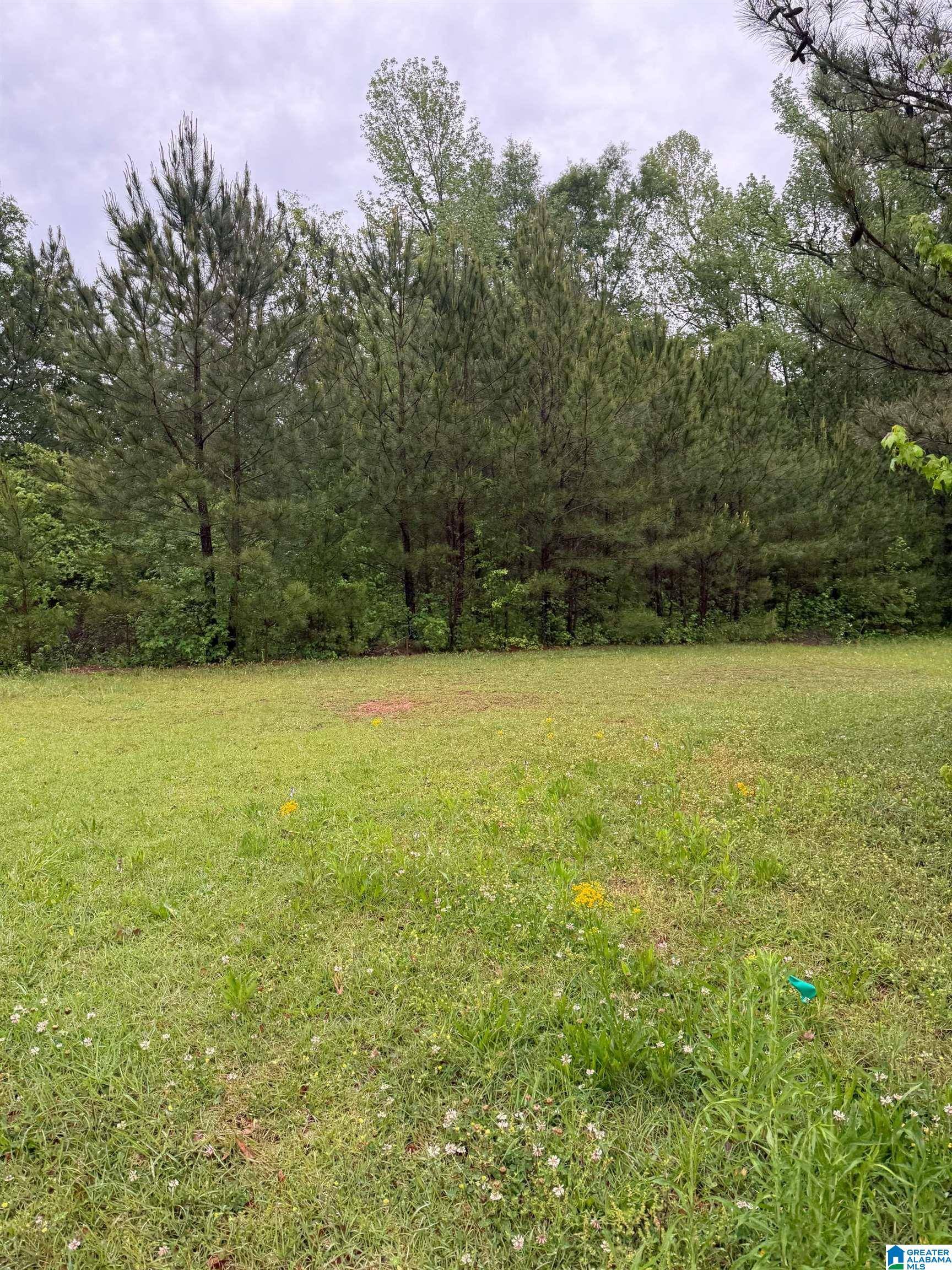 Springville, AL 35146,960 LEGACY COVE #68