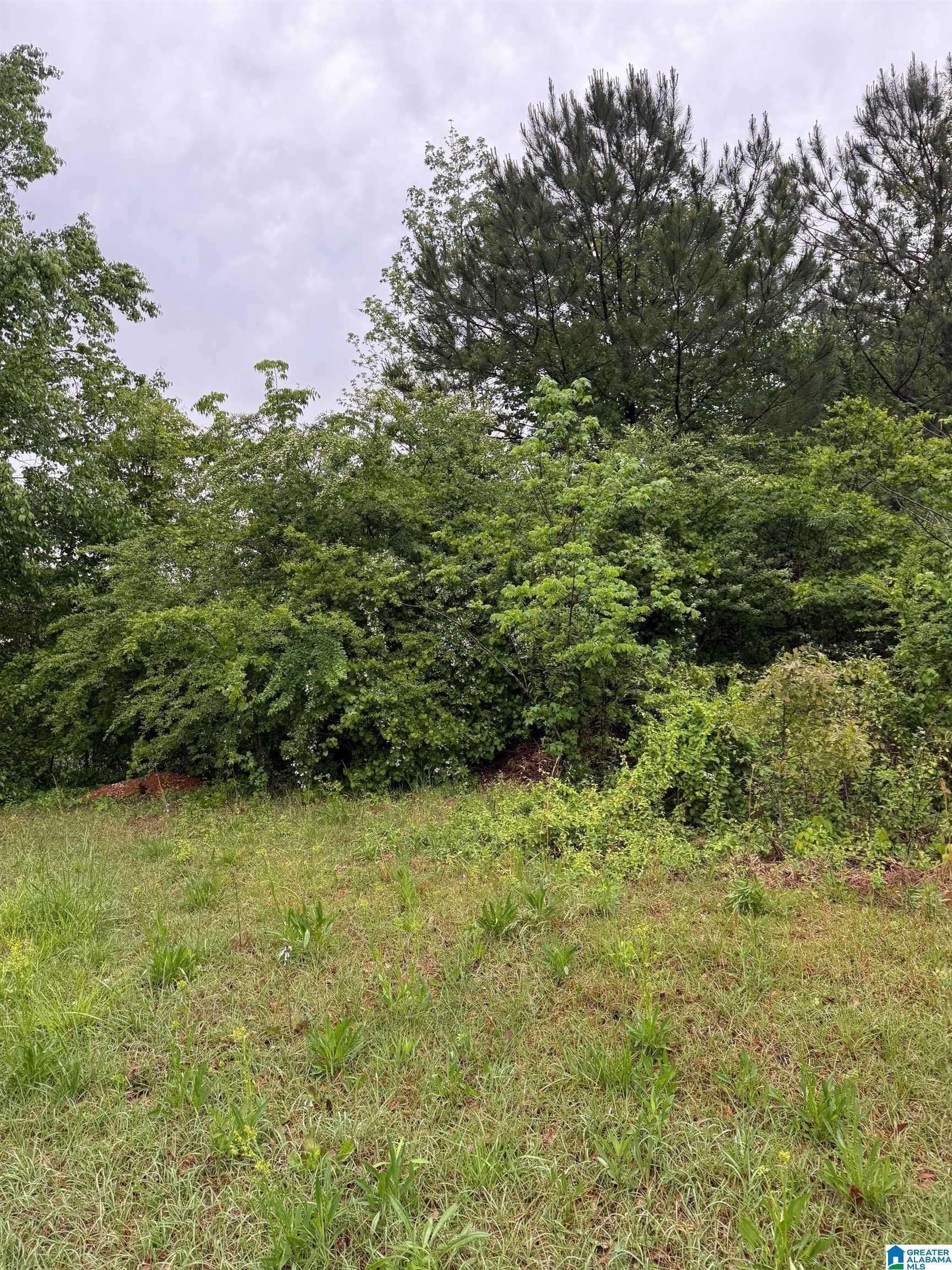 Springville, AL 35146,960 LEGACY COVE #68