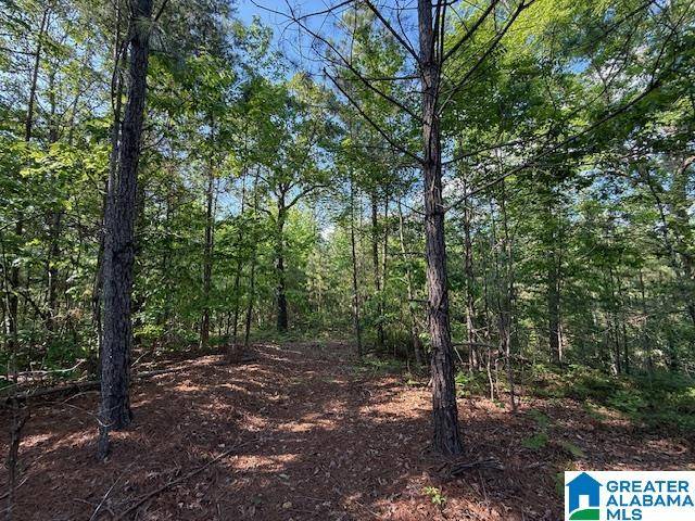 Sylacauga, AL 35151,213 SHORE SIDE LANE #213