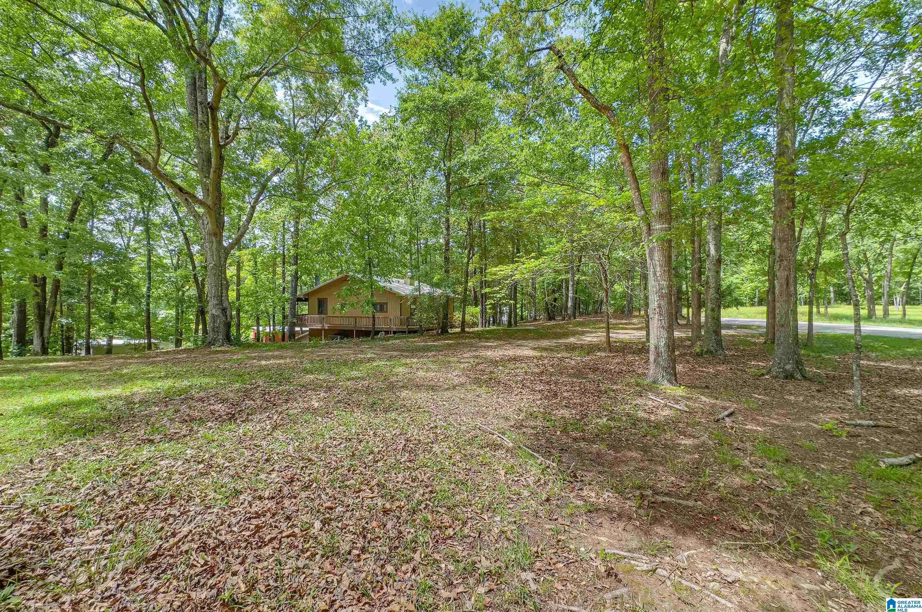 Shelby, AL 35143,156 WALLACE DRIVE