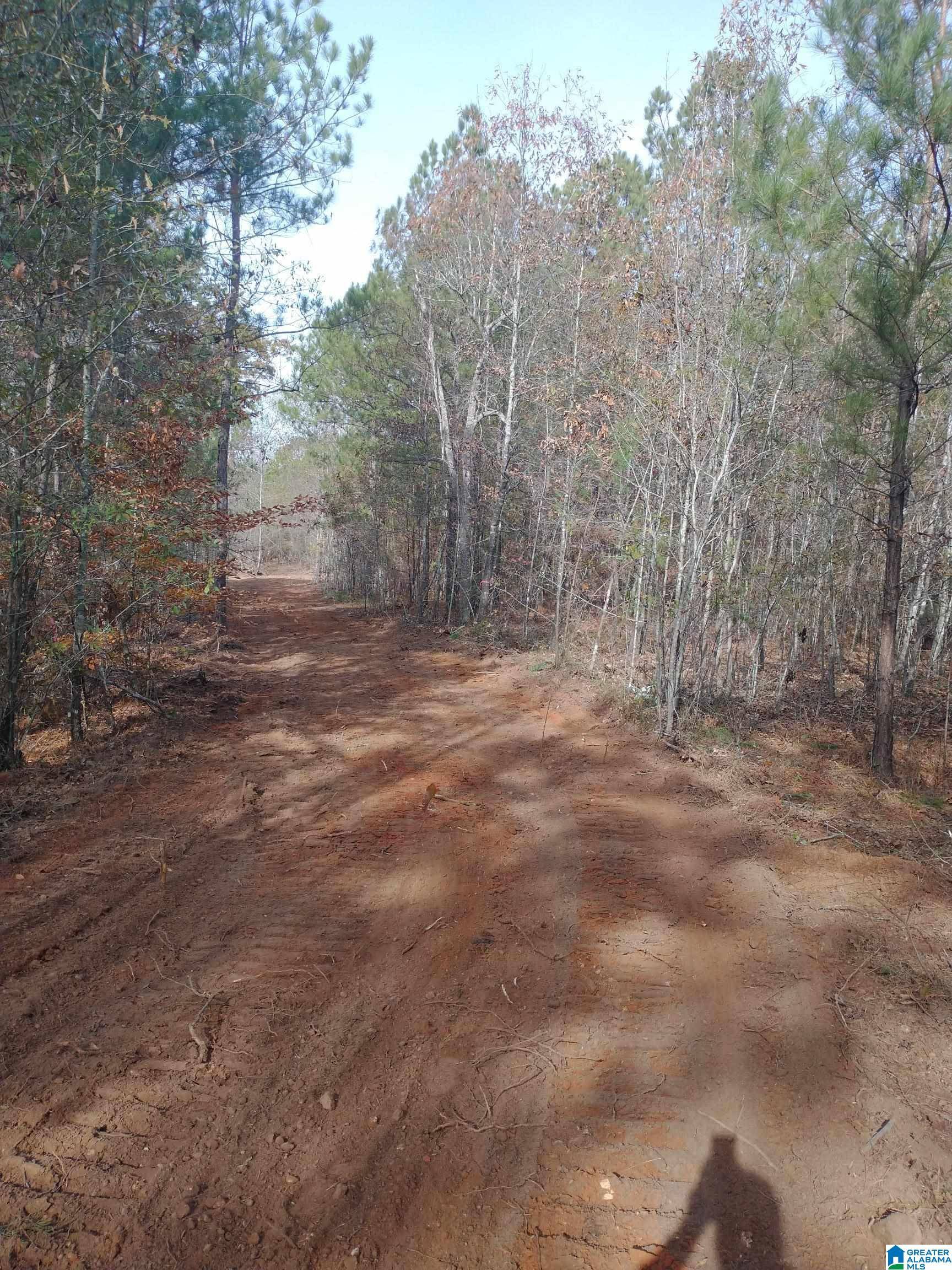 Talladega, AL 35160,End of SERENITY LANE #24 acres
