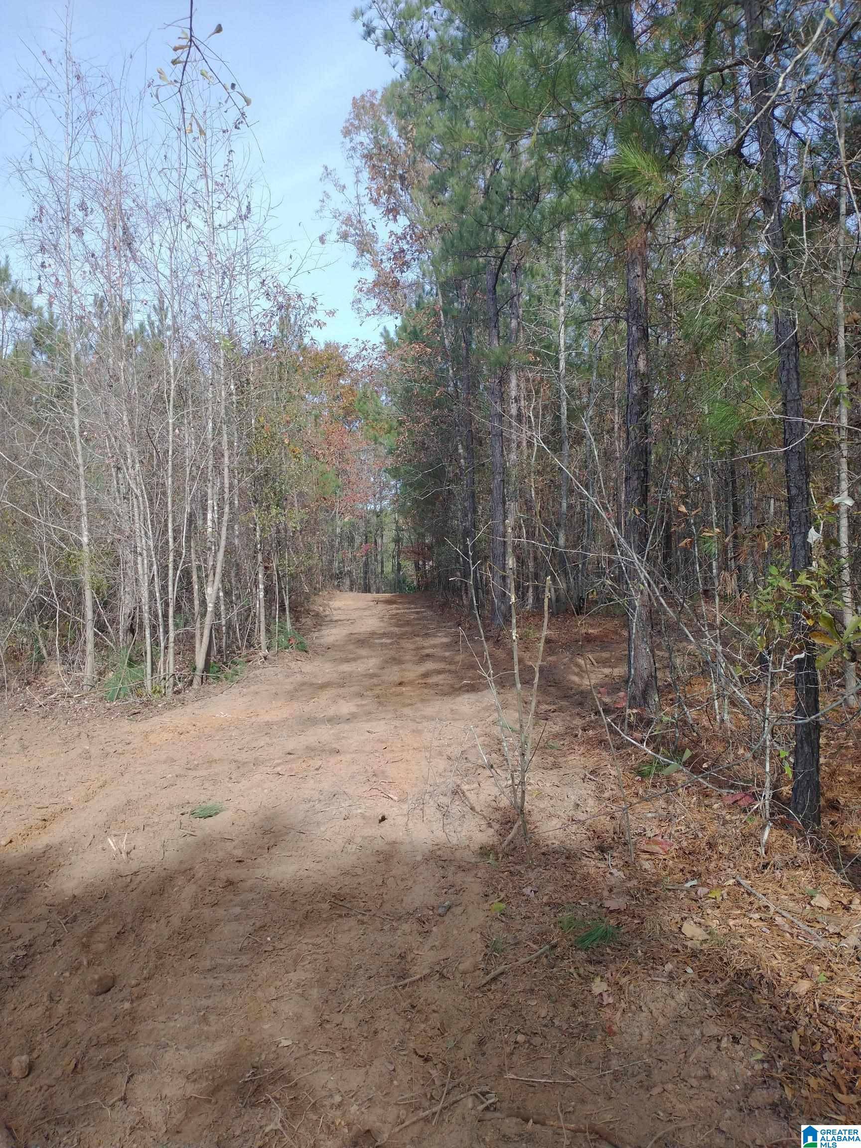 Talladega, AL 35160,End of SERENITY LANE #24 acres