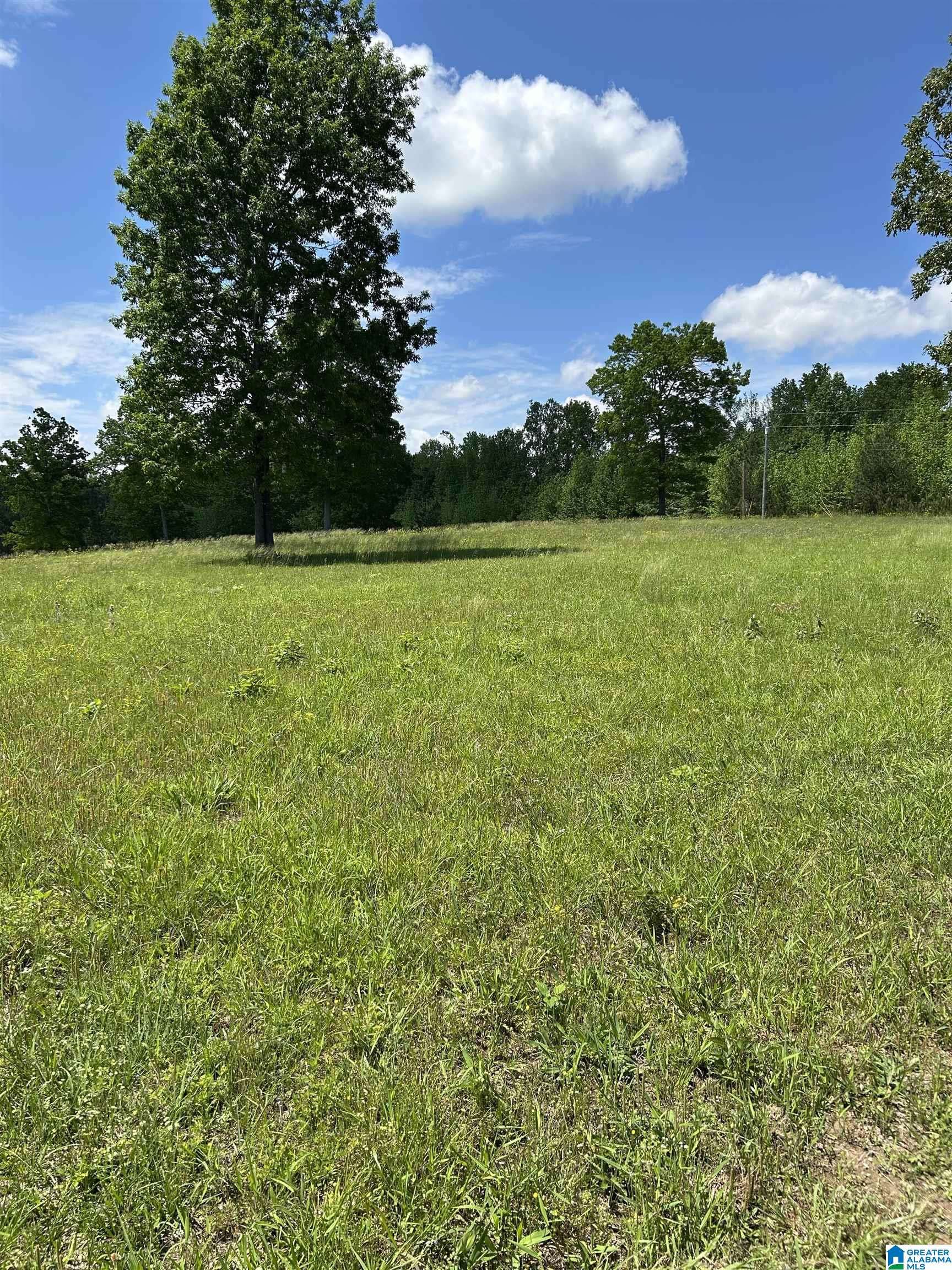 Crane Hill, AL 35053,0 COUNTY ROAD 367 #48