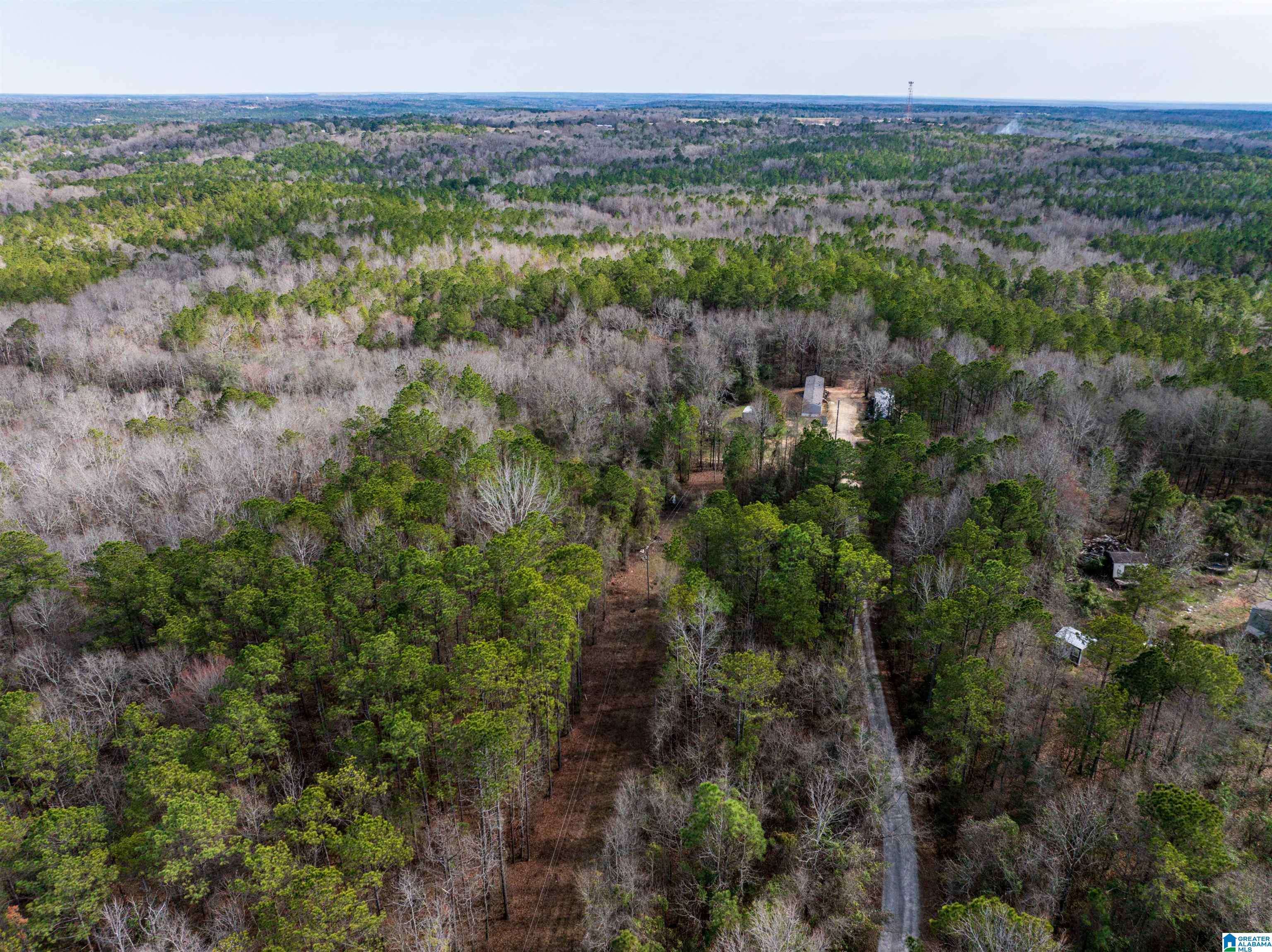 Tallassee, AL 36078,0 FLAT ROCK LANE #0