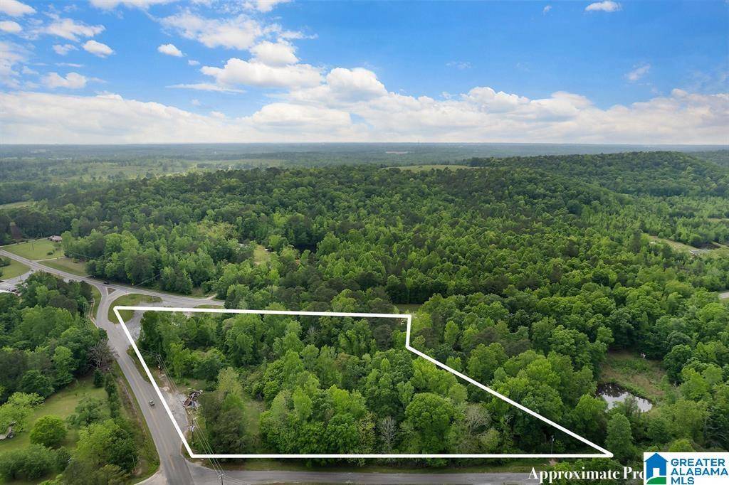 Clanton, AL 35046,75 COUNTY ROAD 55