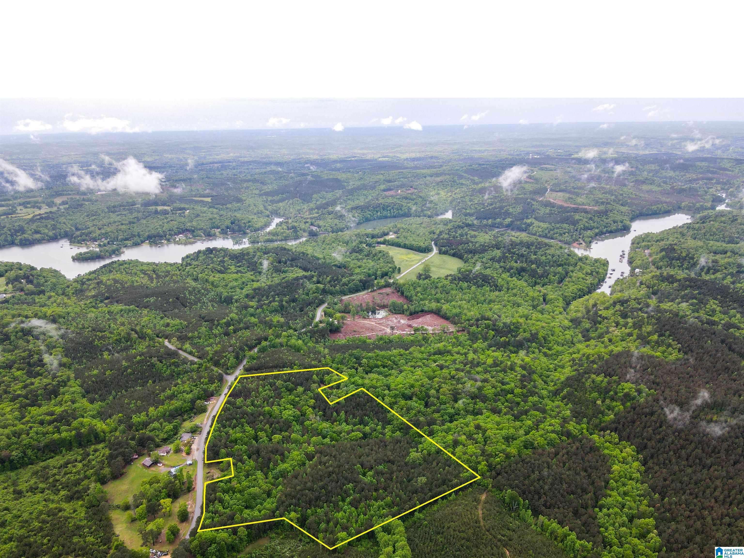 Arley, AL 35541,1 COUNTY ROAD 63 #1