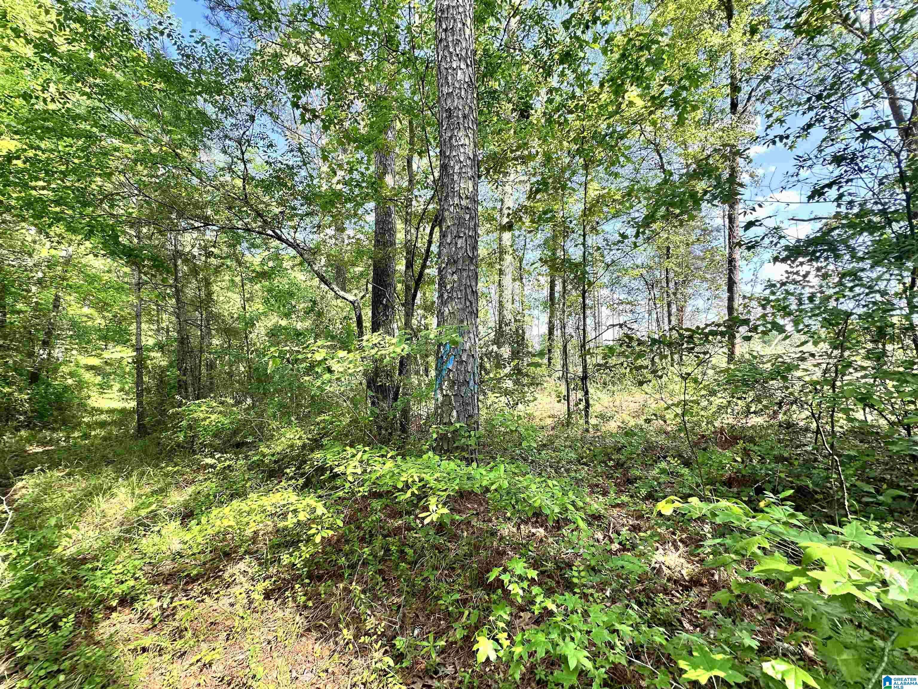 Maplesville, AL 36750,0 HIGHWAY 139 #nA