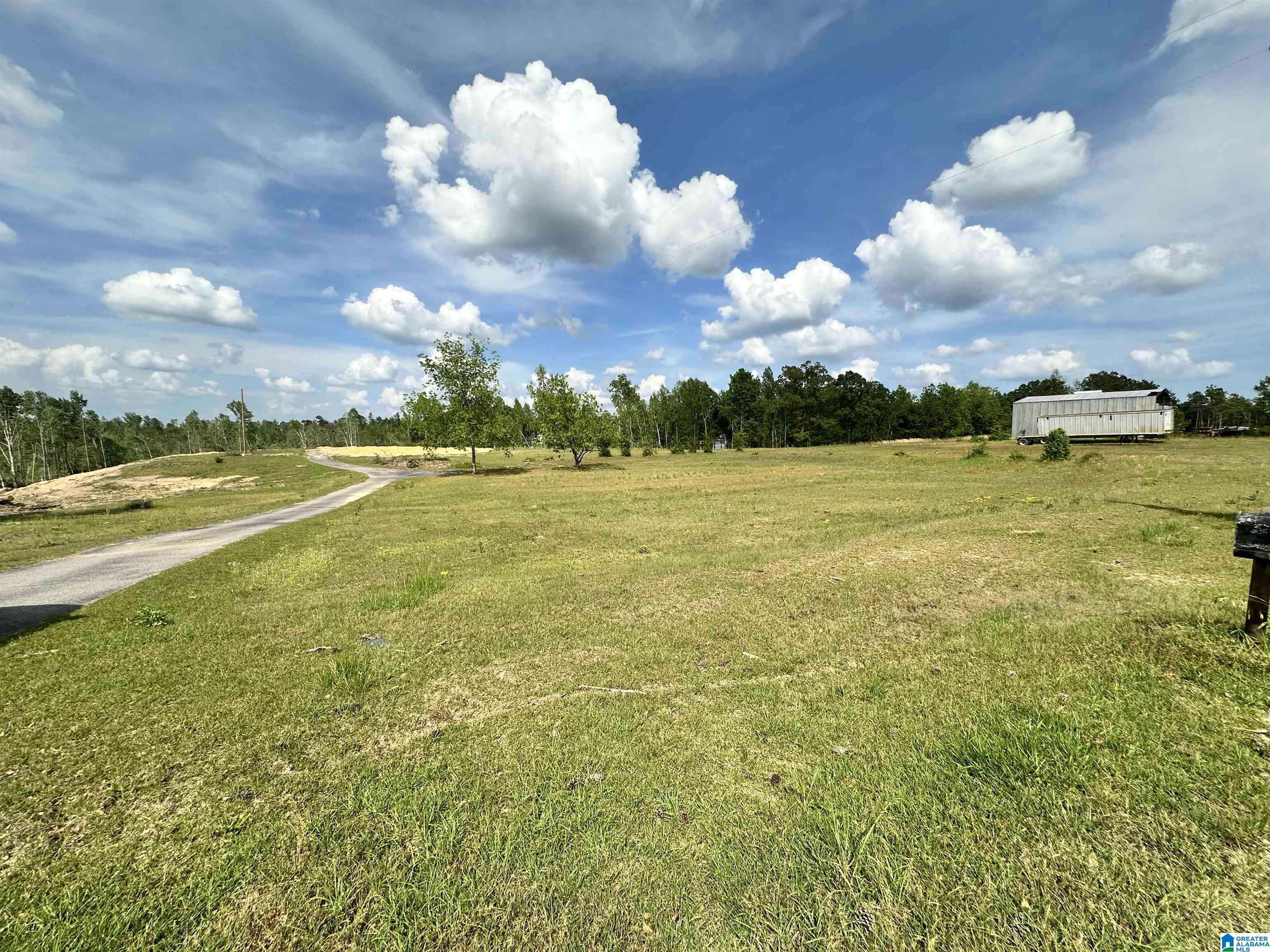 Maplesville, AL 36750,4761 COUNTY ROAD 17 #NA