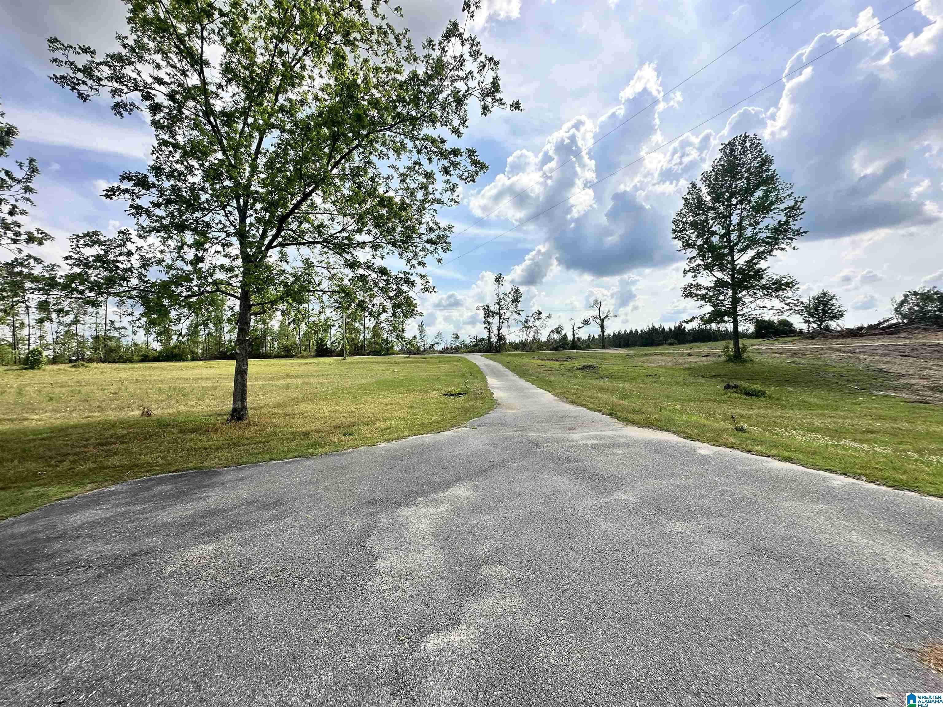 Maplesville, AL 36750,4761 COUNTY ROAD 17 #NA
