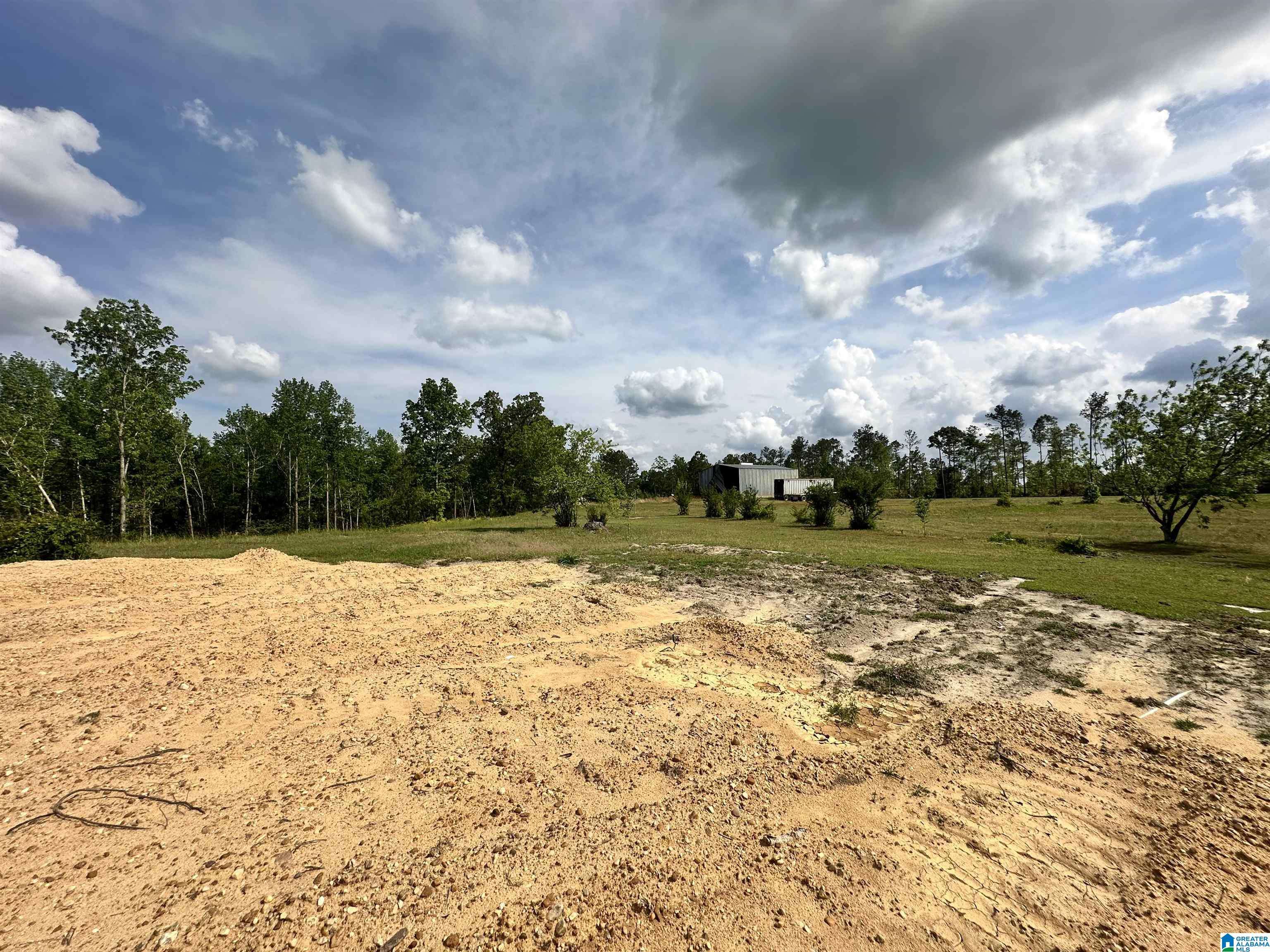 Maplesville, AL 36750,4761 COUNTY ROAD 17 #NA