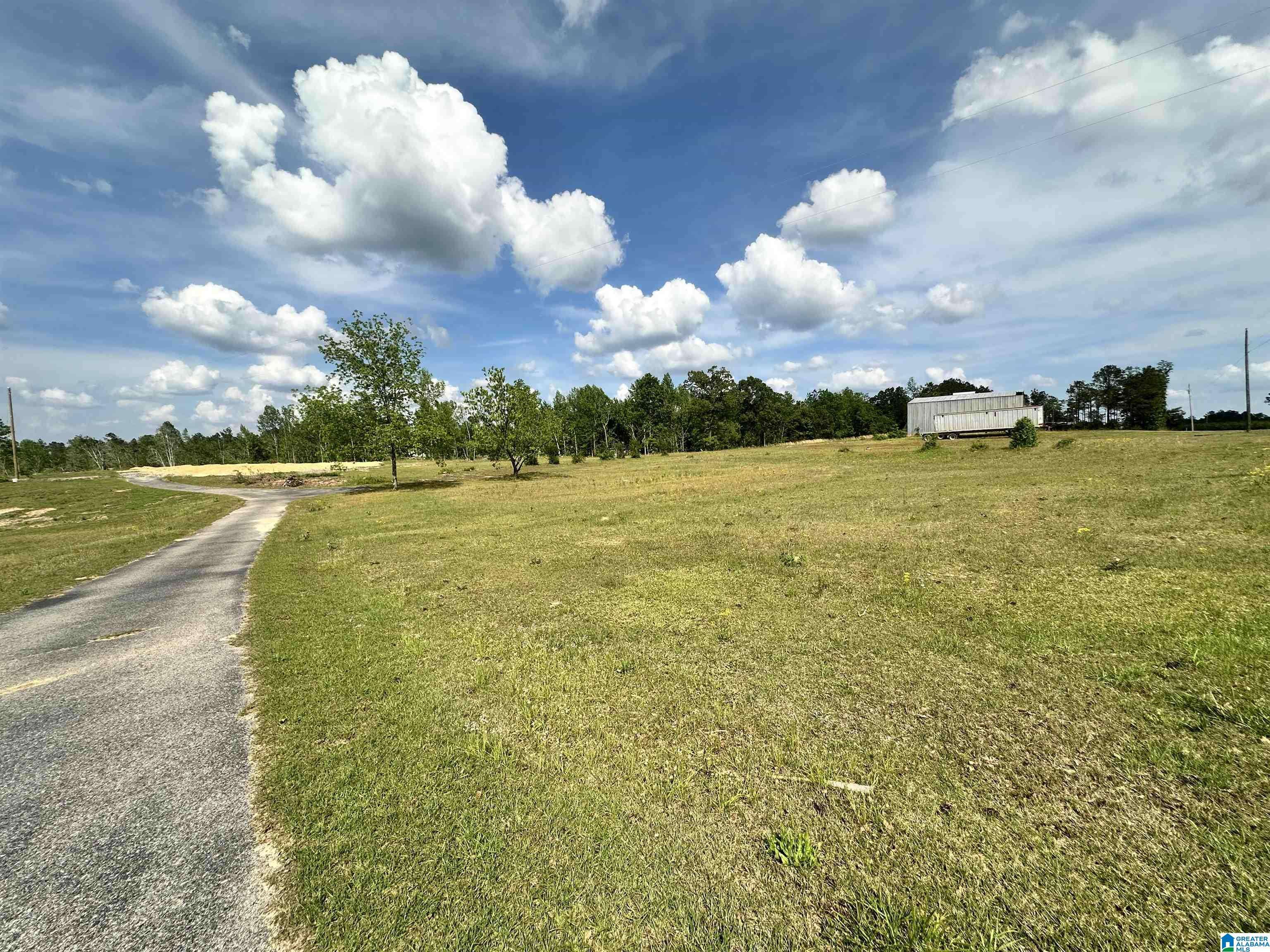 Maplesville, AL 36750,4761 COUNTY ROAD 17 #NA