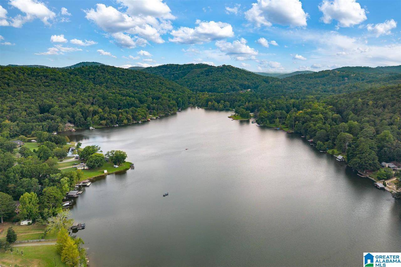 Pinson, AL 35126,8390 EMERALD LAKE DRIVE E