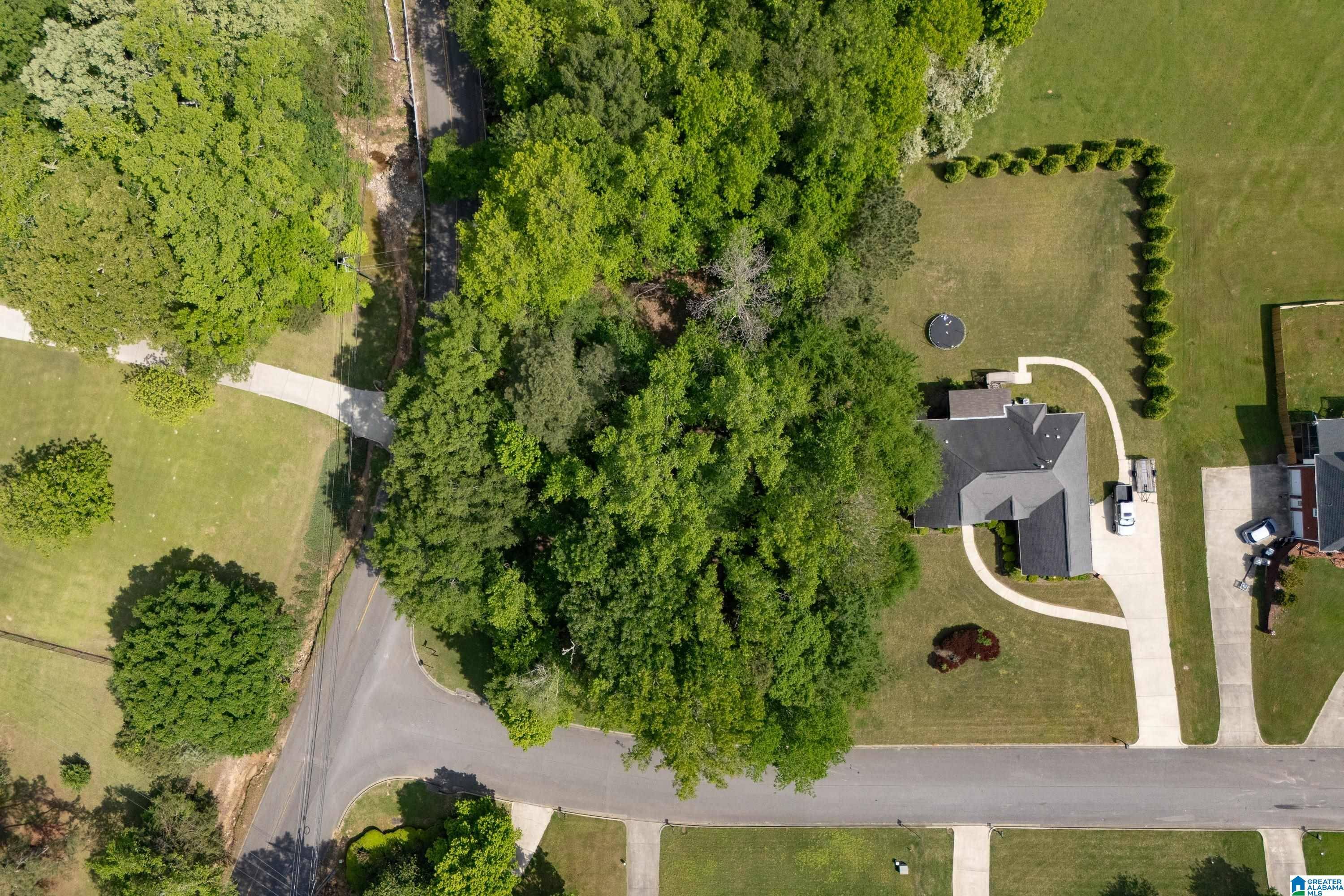 Pinson, AL 35126,6698 CLAYTON COVE PARKWAY #Lot 1A