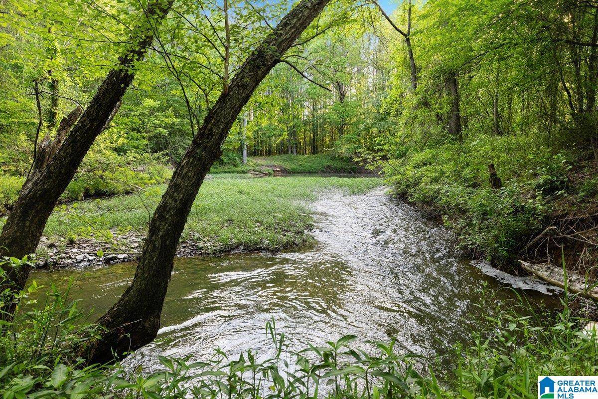 Oneonta, AL 35121,44 DORR ROAD