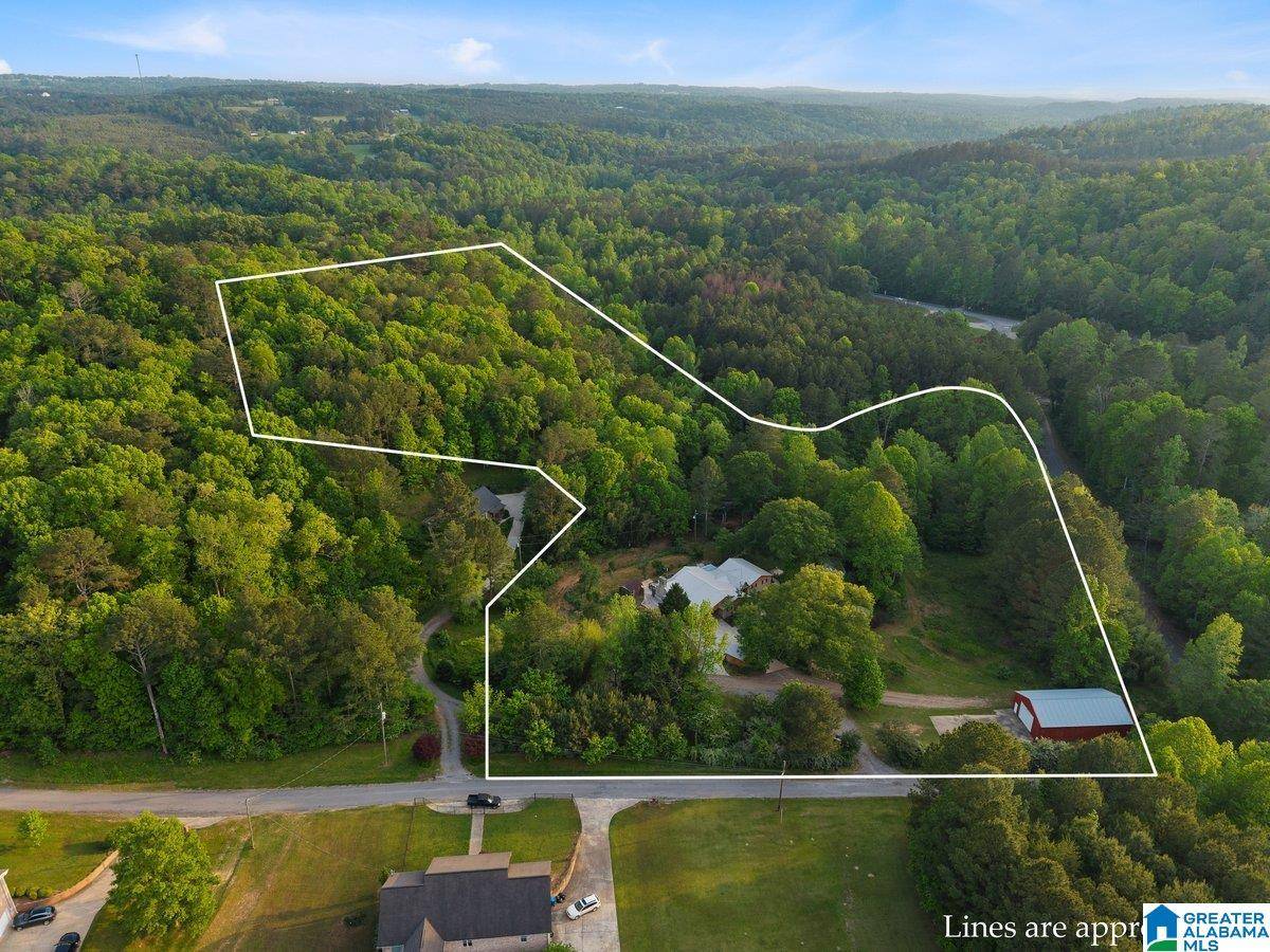 Oneonta, AL 35121,44 DORR ROAD