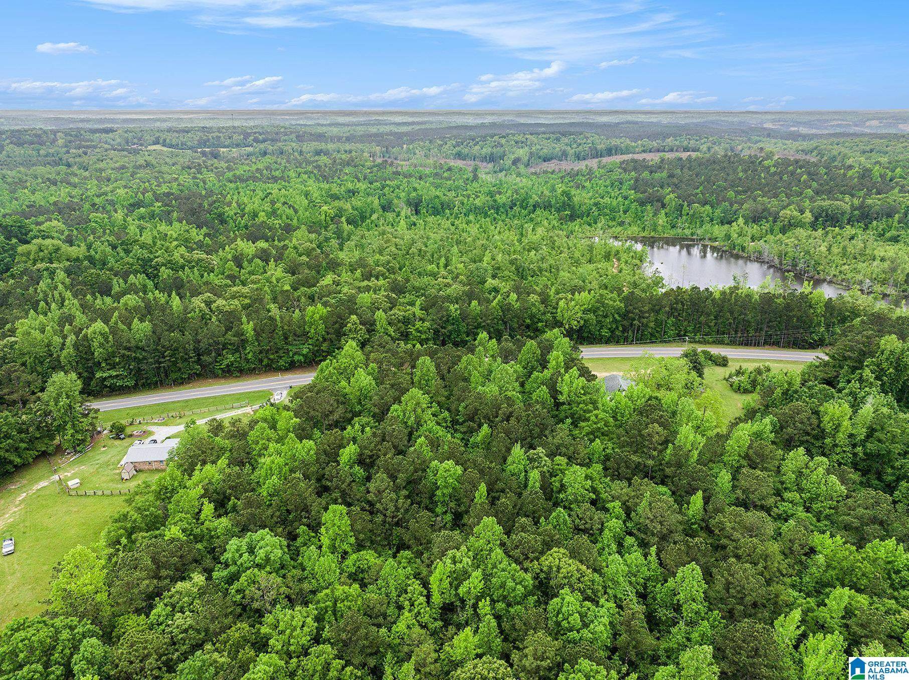 Rockford, AL 35136,00 AL HIGHWAY 22 #2