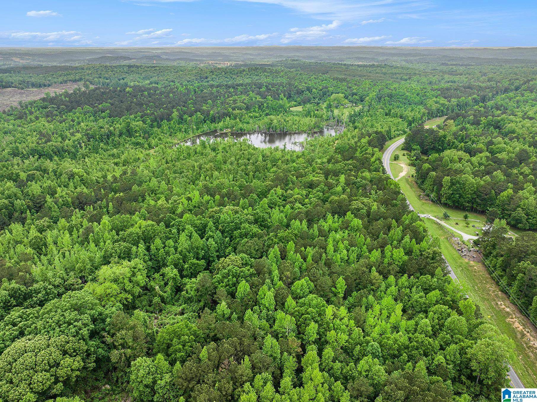 Rockford, AL 35136,00 AL HIGHWAY 22 #2