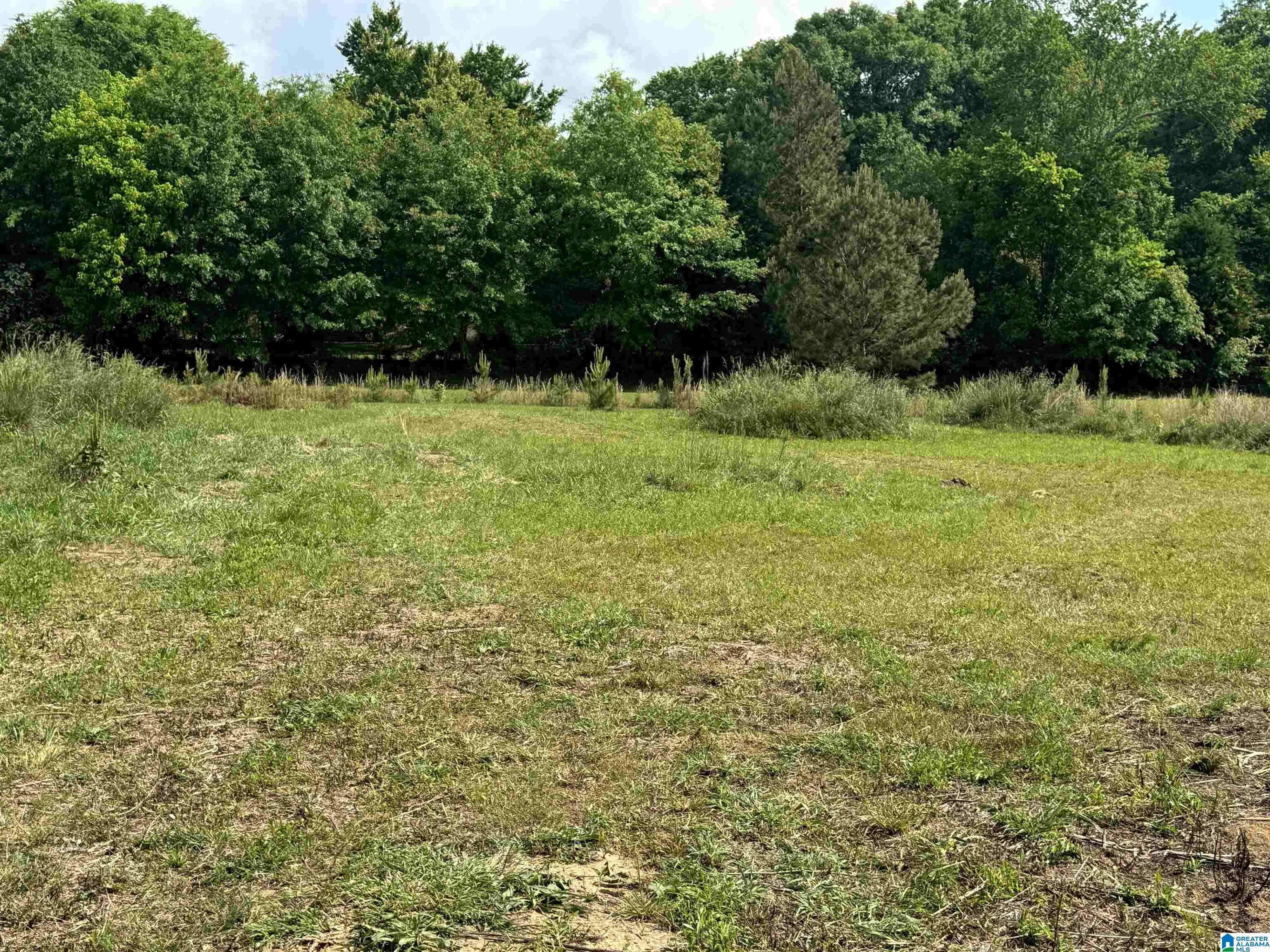 Anniston, AL 36202,136 DEWEY LANE #4