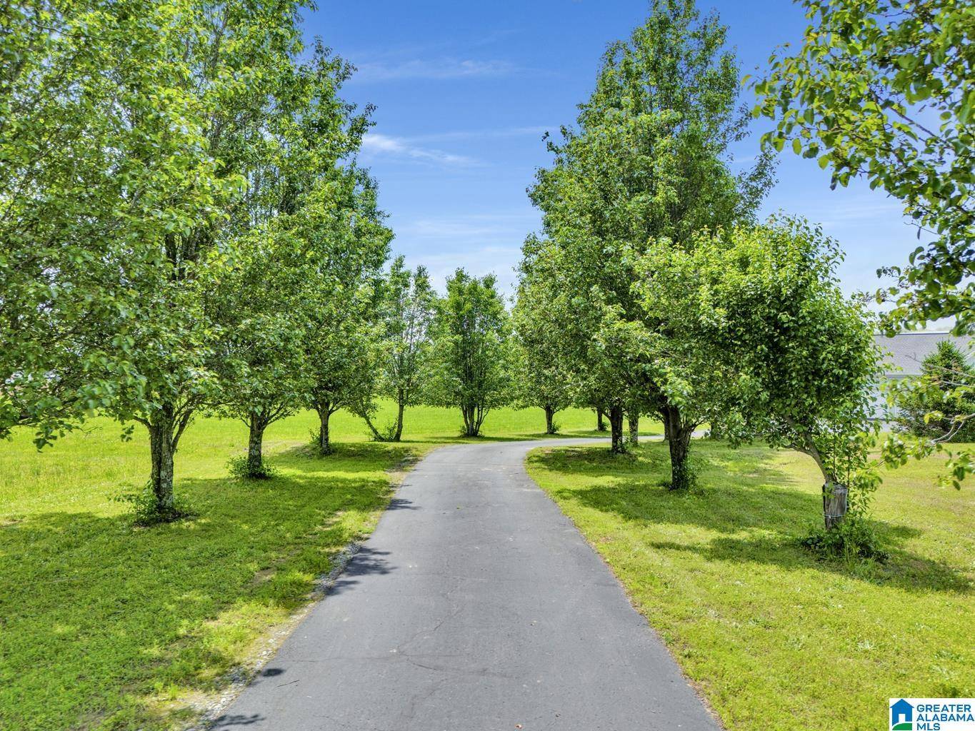 Hanceville, AL 35077,81 COUNTY ROAD 546