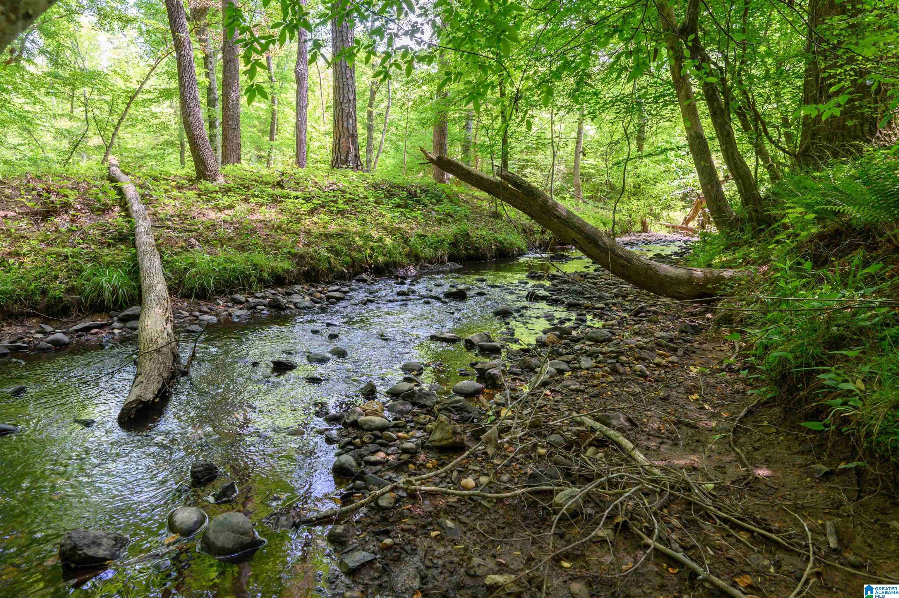 Jemison, AL 35085,1352 COUNTY ROAD 185