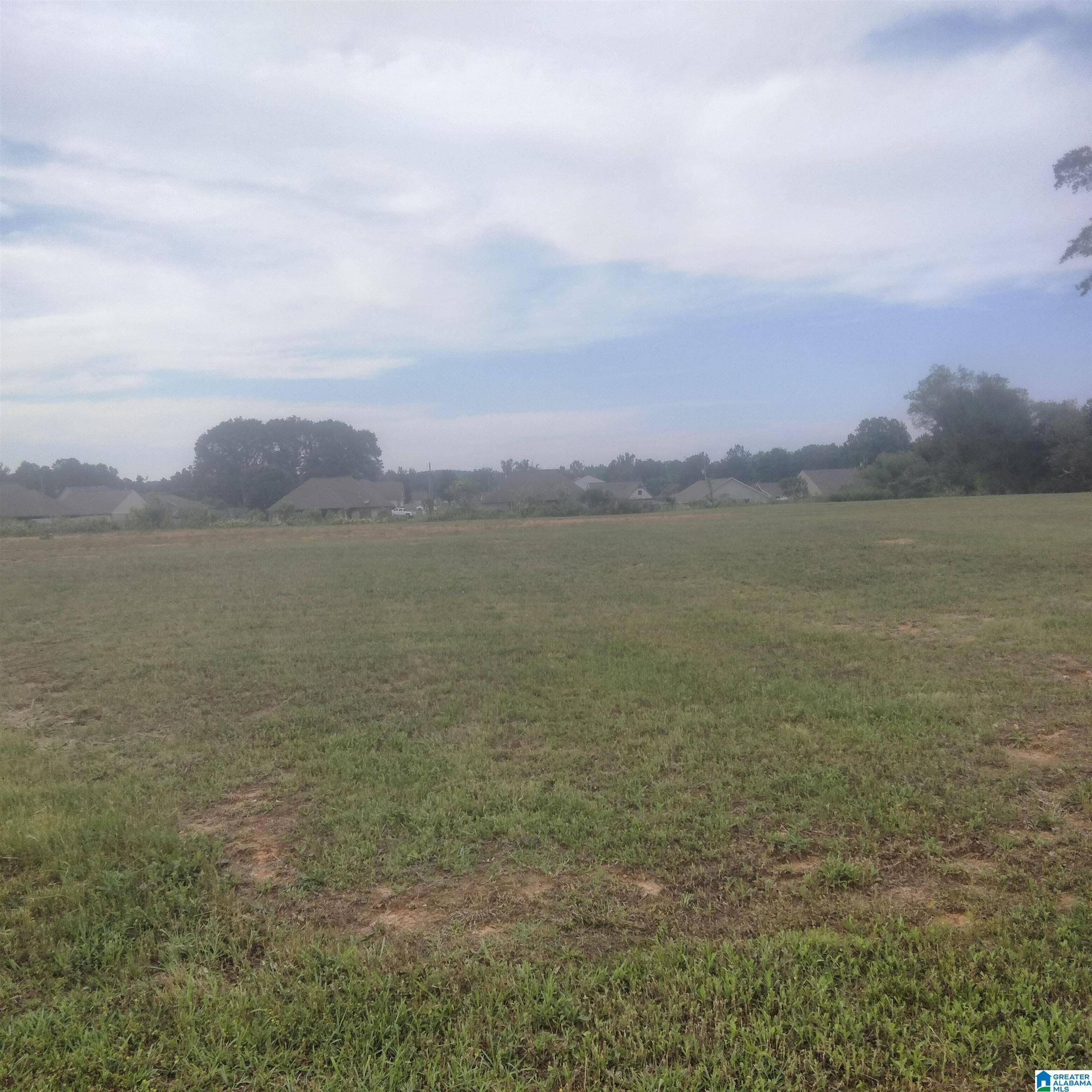 Vance, AL 35490,18554 WIREGRASS DRIVE #N/A