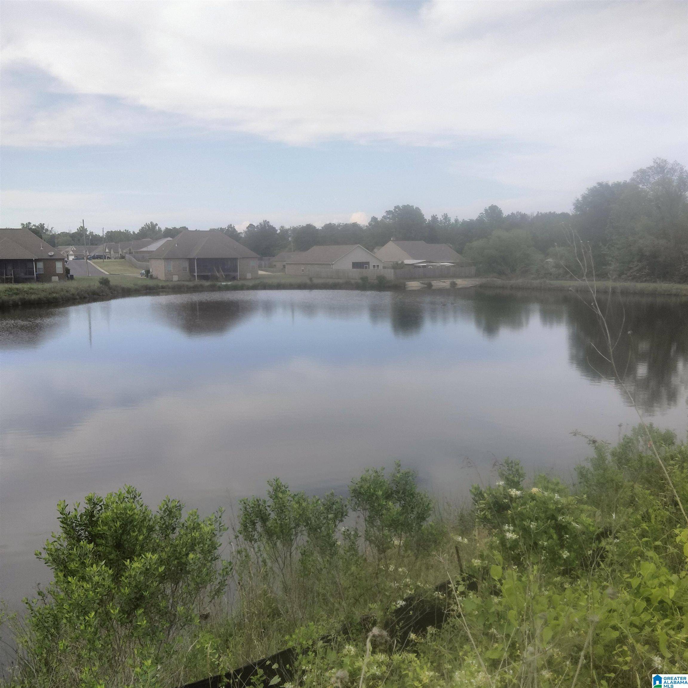 Vance, AL 35490,18554 WIREGRASS DRIVE #N/A