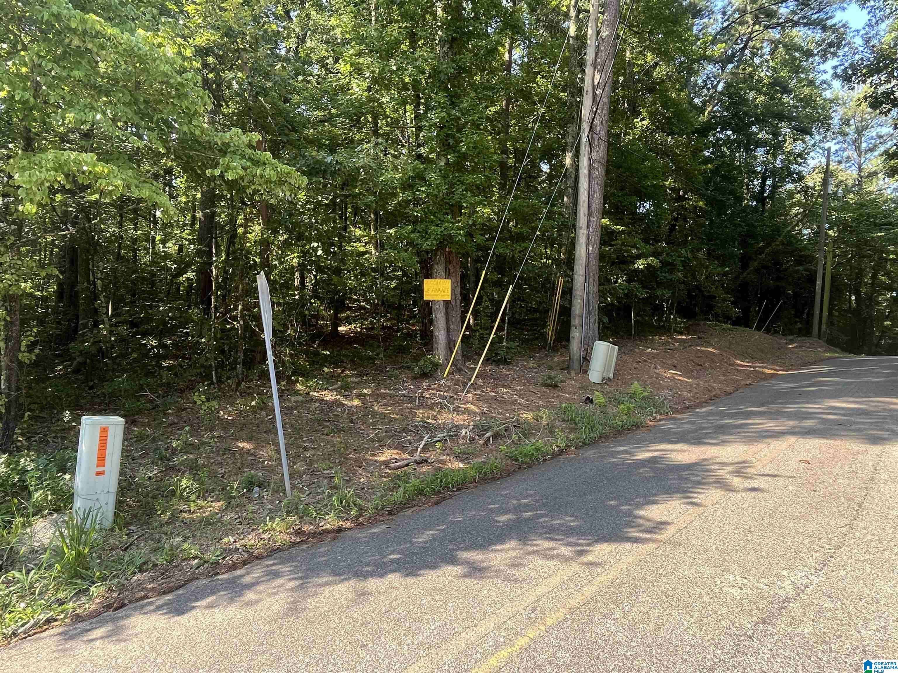 Bessemer, AL 35023,4800 WASHINGTON ROAD #Lot 11 and 17