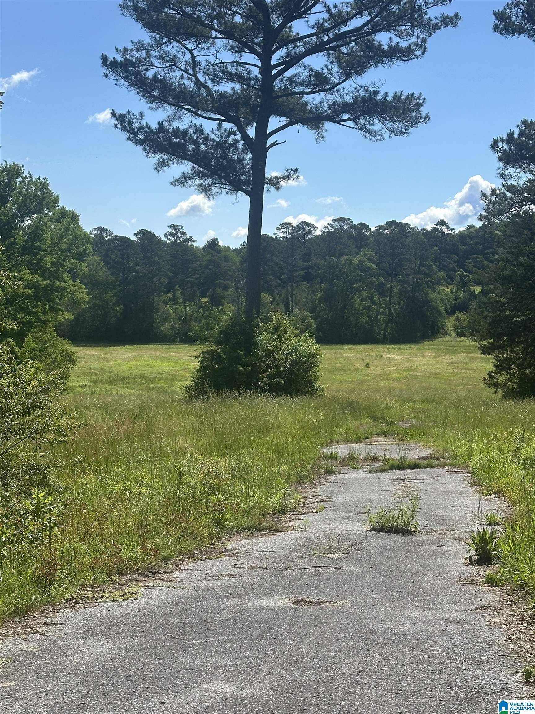 Pell City, AL 35128,1225 PINE HARBOR ROAD #11