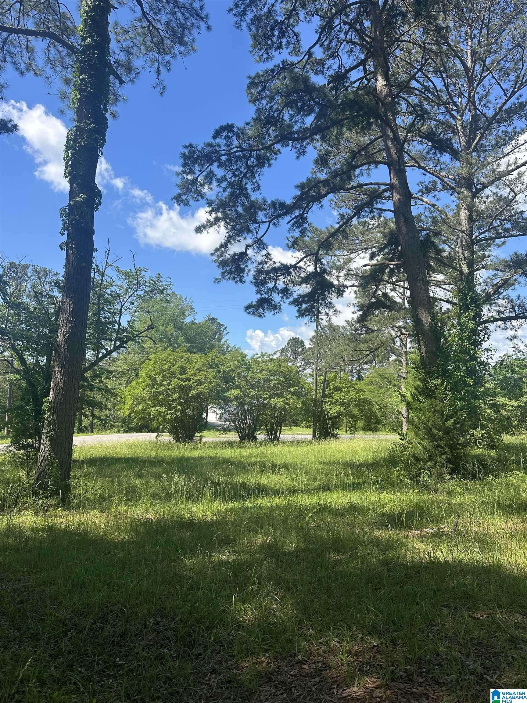 Pell City, AL 35128,1225 PINE HARBOR ROAD #11