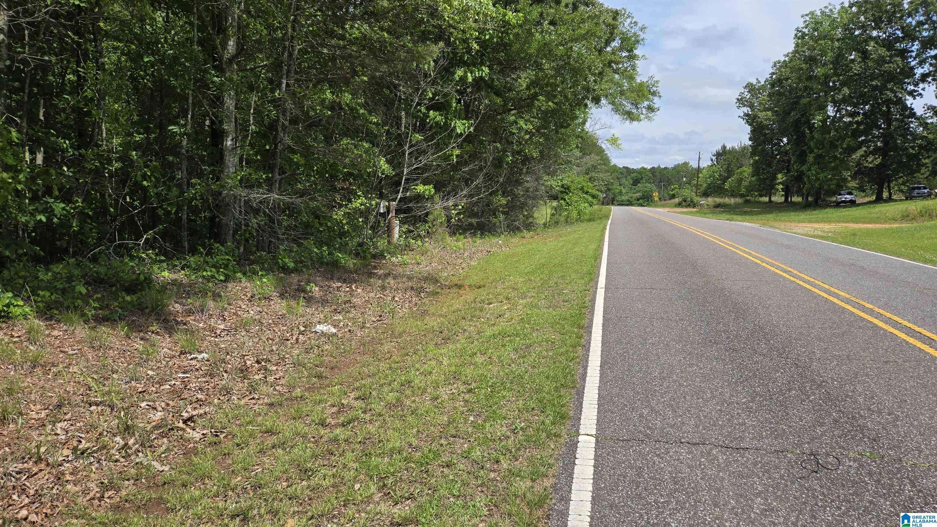 Ashland, AL 36251,0 CRAGFORD ROAD #0