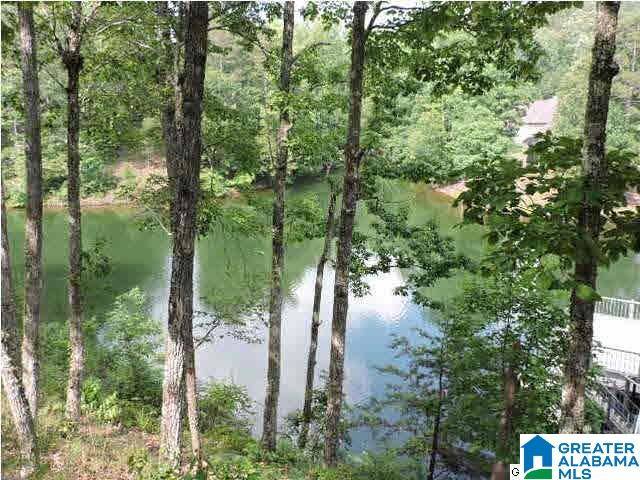 Wedowee, AL 36278,19 DOGWOOD RIDGE #19