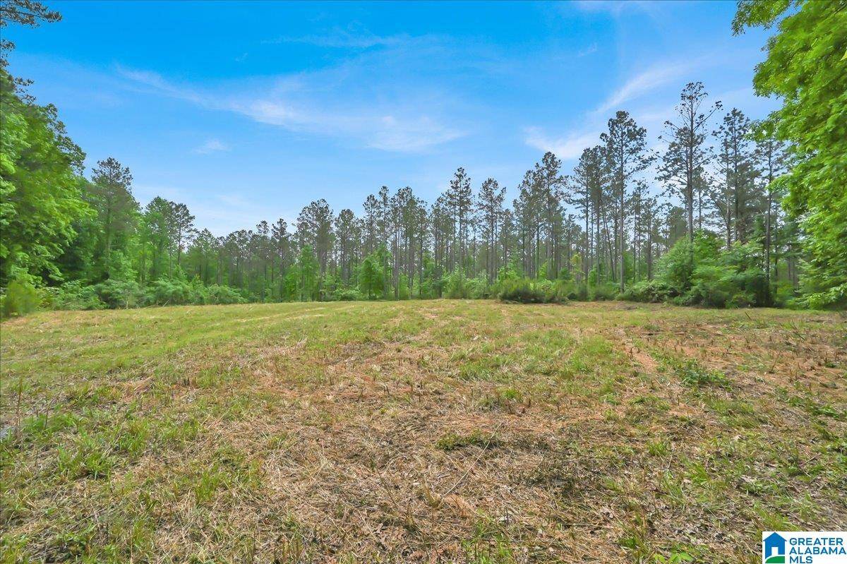 Vinemont, AL 35179,40 acres COUNTY ROAD 1208 #N/A