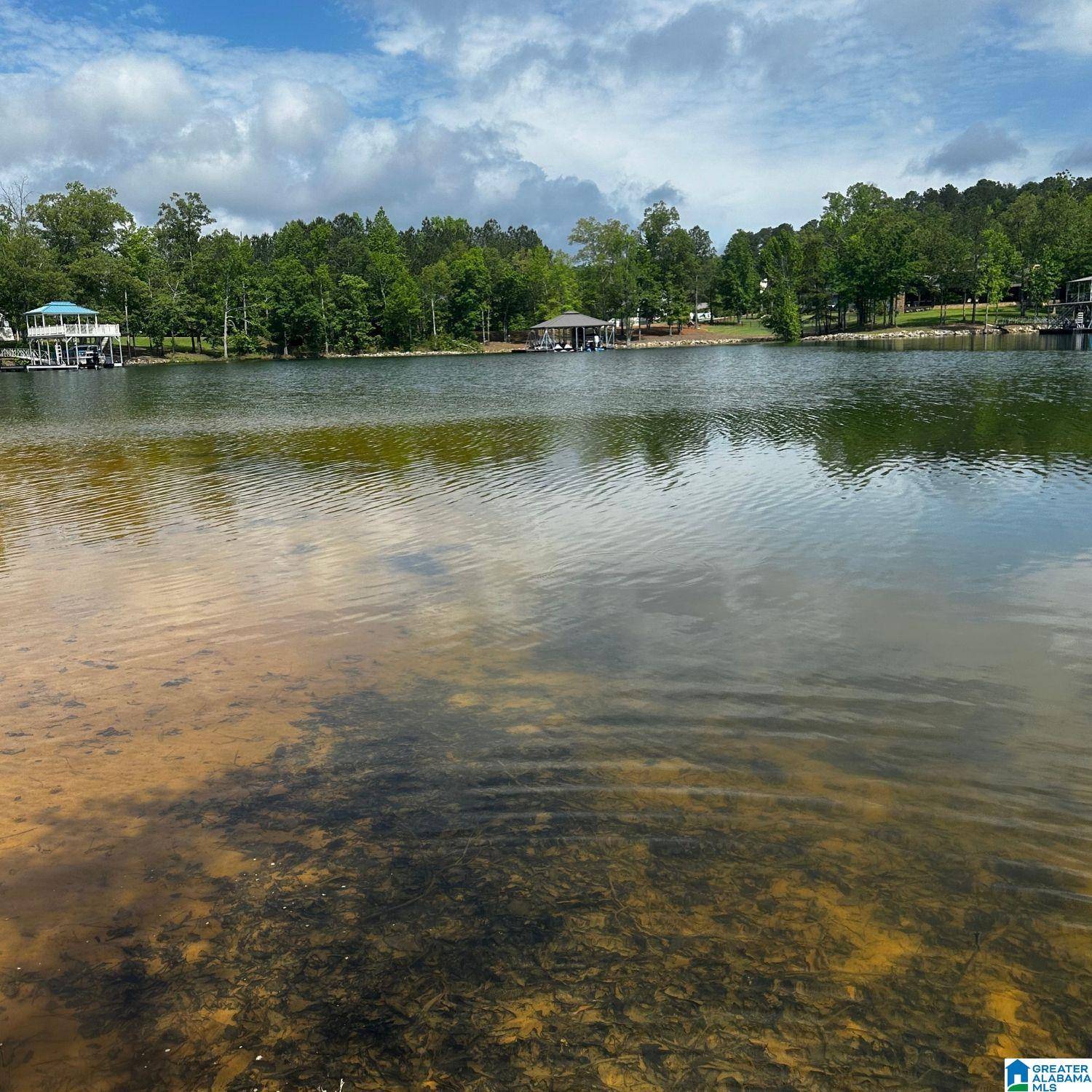 Crane Hill, AL 35053,COUNTY ROAD 177 #146