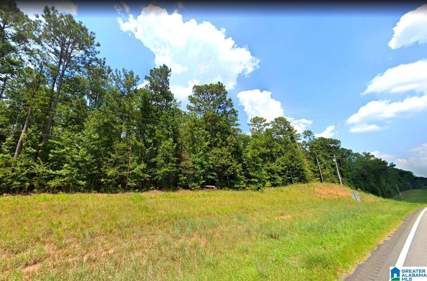 Rockford, AL 35136,0 AL HIGHWAY 22 #0