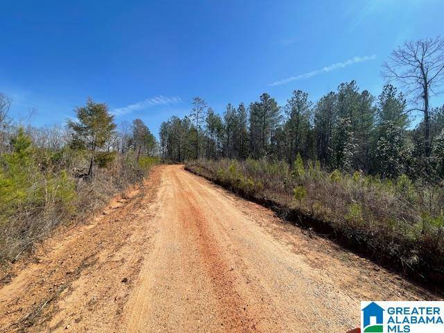 Wadley, AL 36276,COUNTY ROAD 140 #44.22± Ac