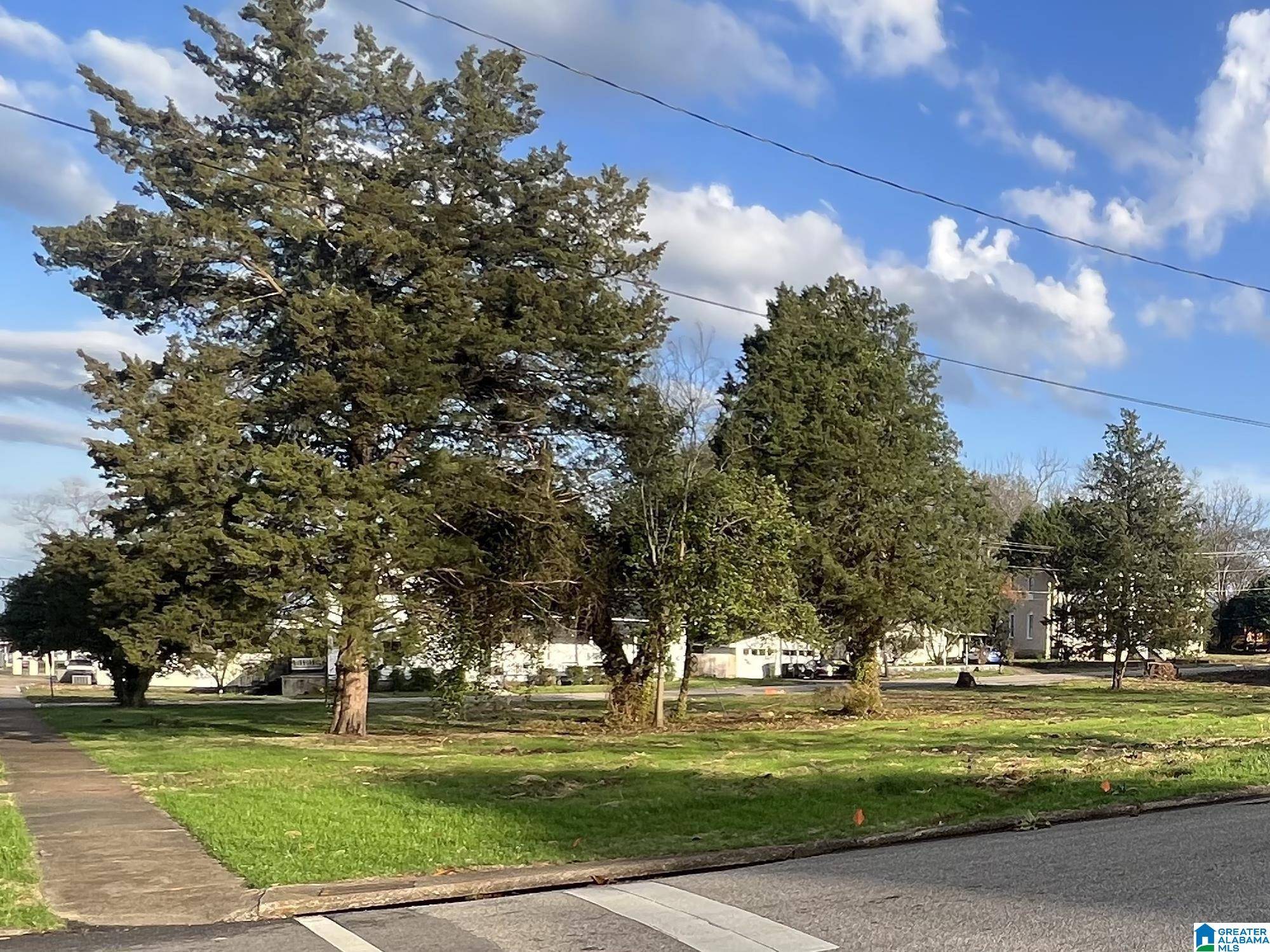 Oxford, AL 36203,300 & 308 SNOW STREET
