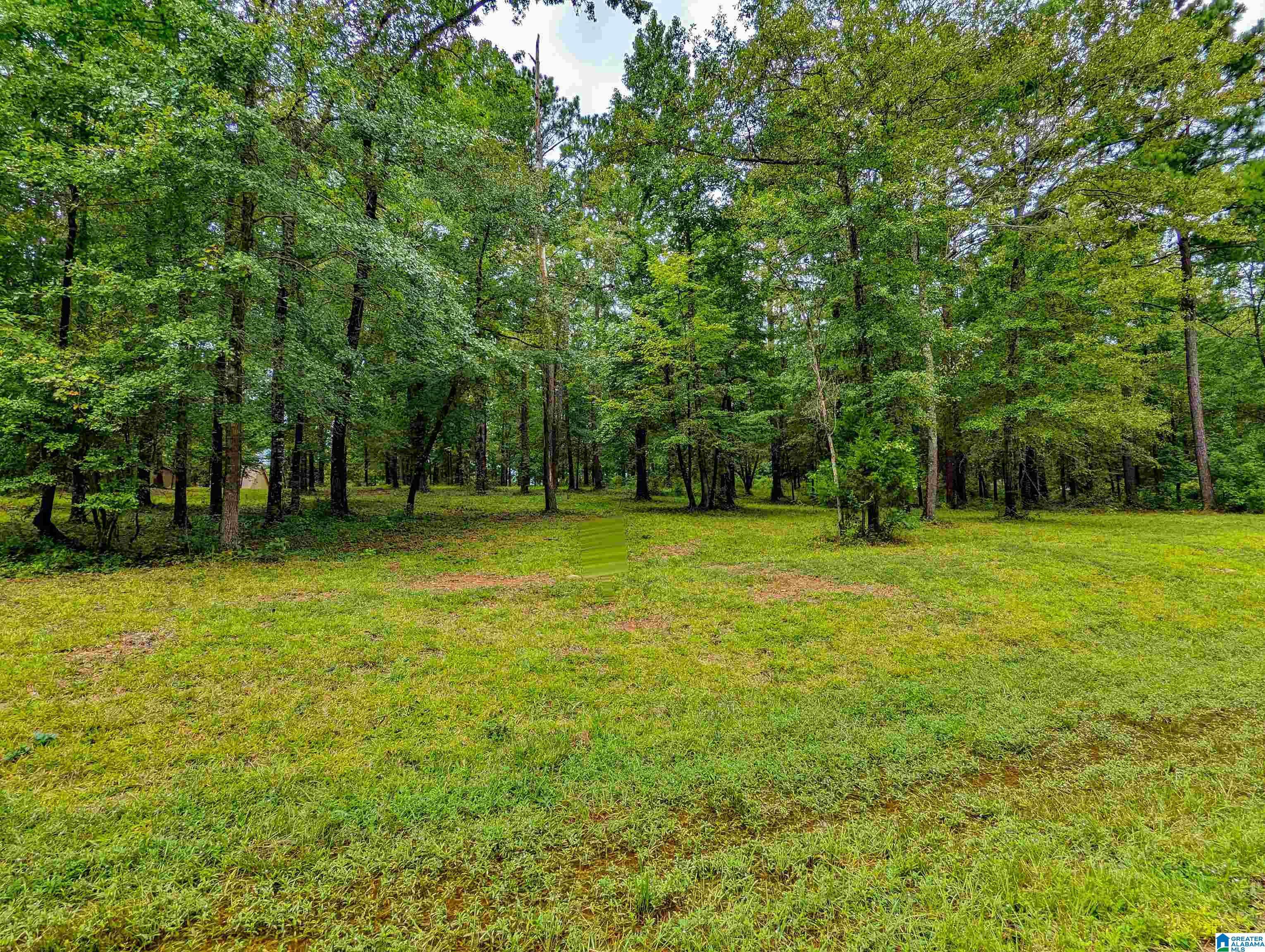 Clanton, AL 35046,LAKE FRONT TRAIL #9