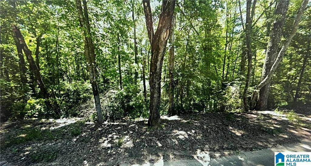 Lakeview, AL 35111,0 KIMBERLY DRIVE #7