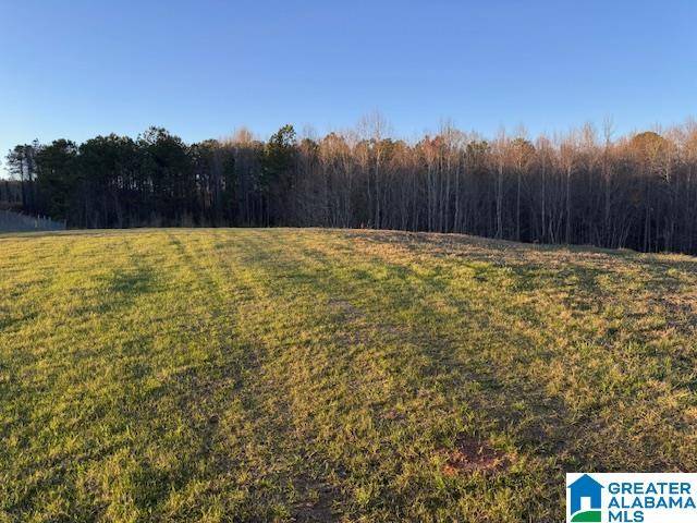 Wadley, AL 36276,3586-A COUNTY ROAD 26 #57 Ac