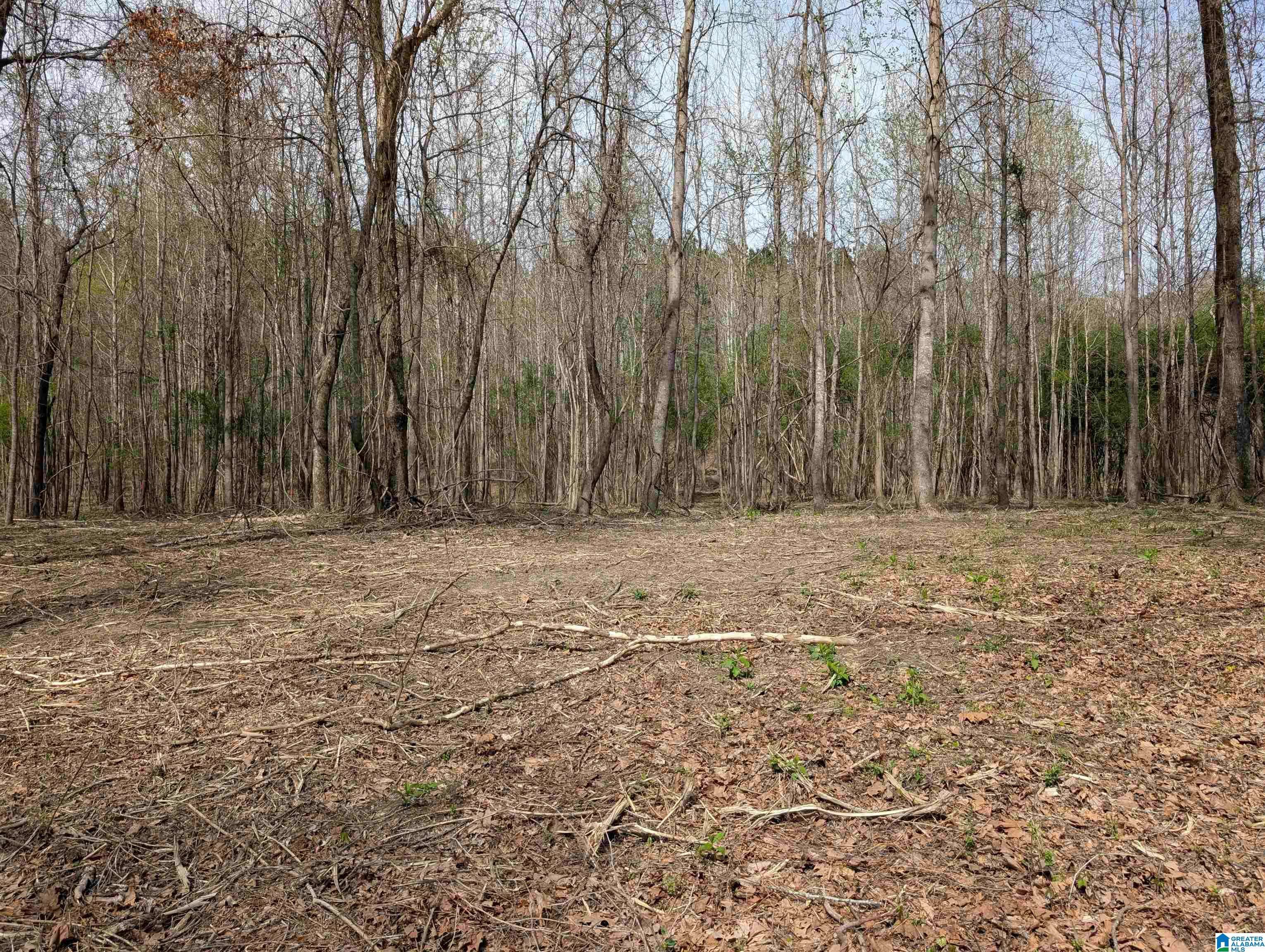 Cordova, AL 35550,Lot 3 RIVER CREST DRIVE #3