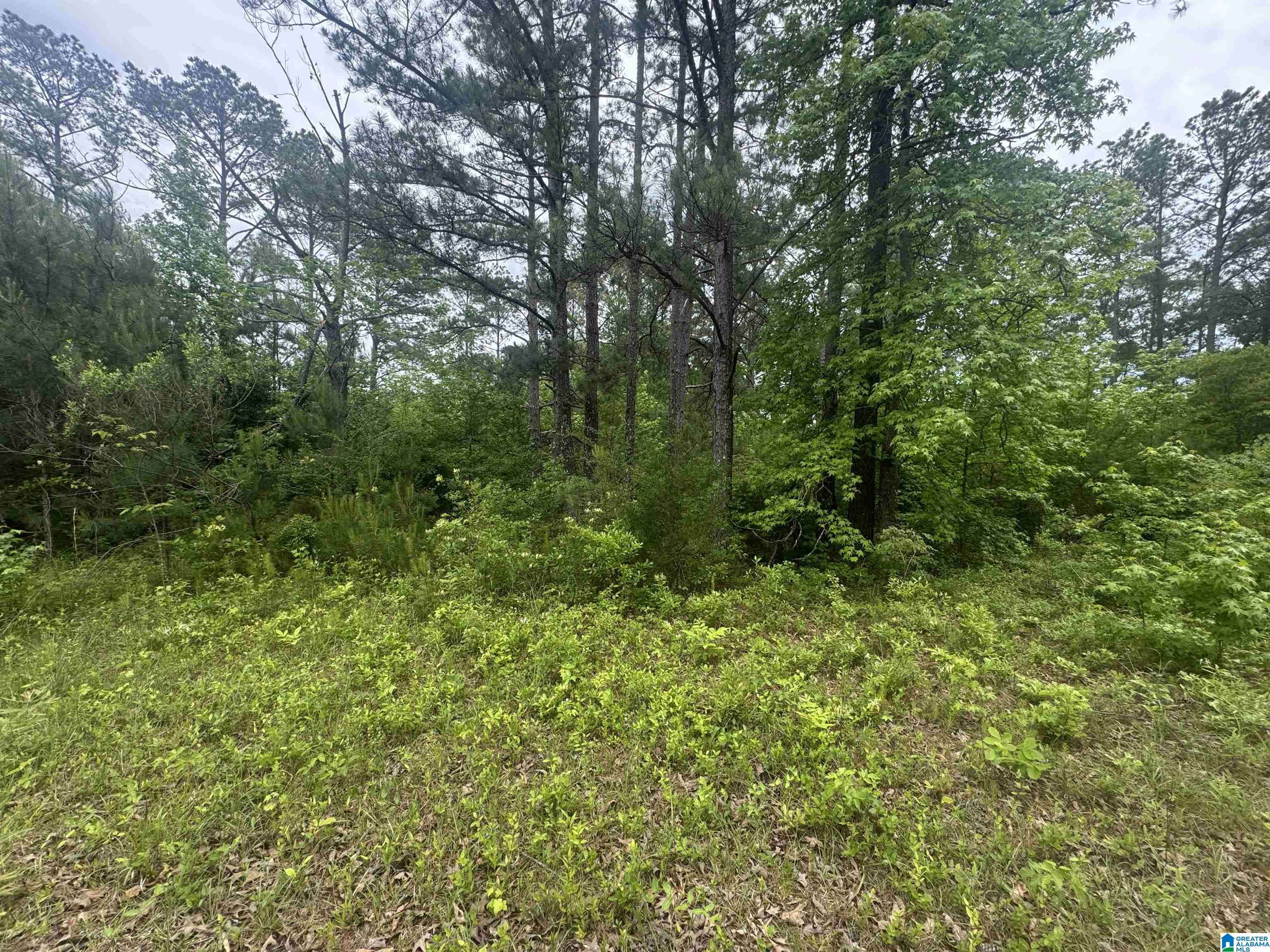 Jemison, AL 35085,0 COUNTY ROAD 42 #0