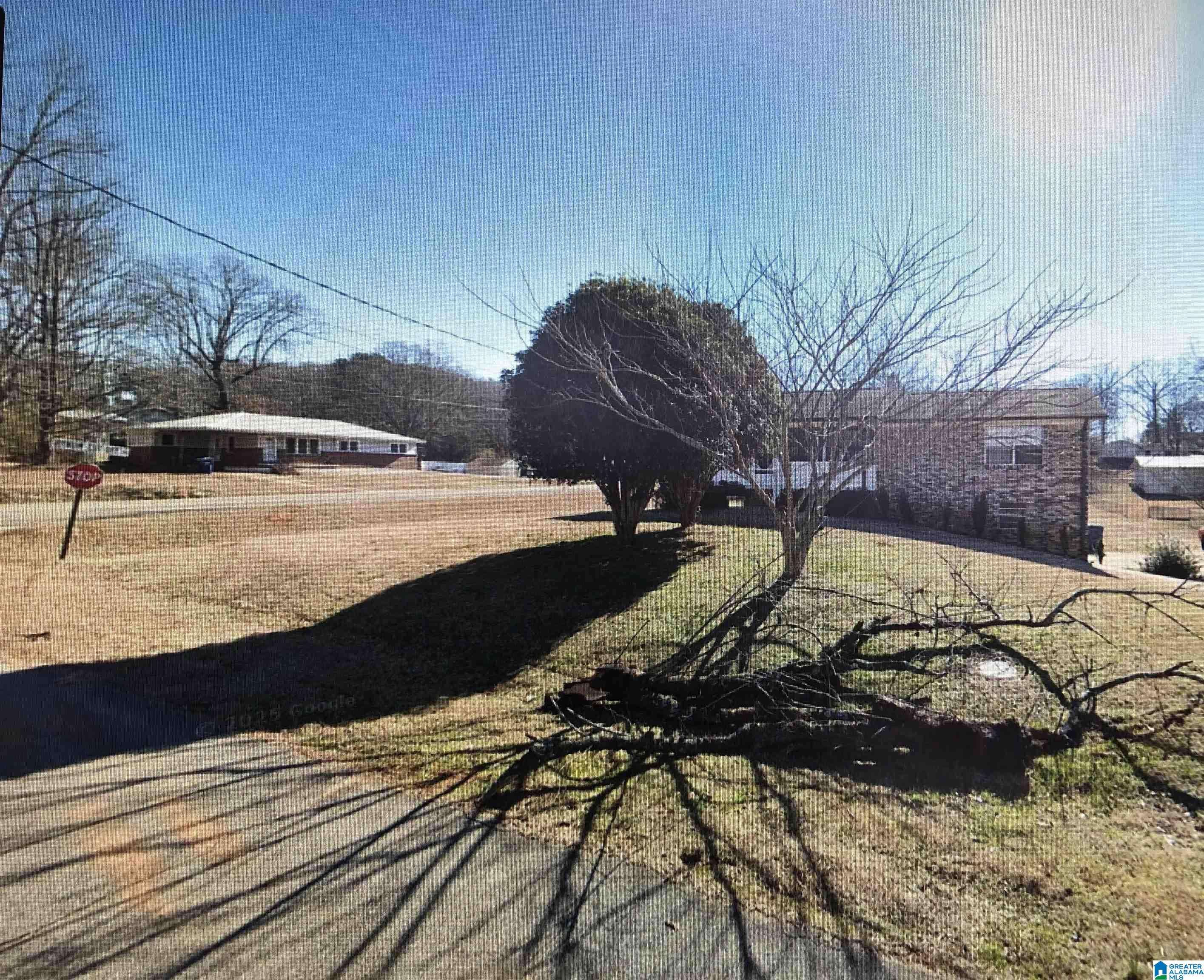 Eastaboga, AL 36260,9 MEADOW LANE