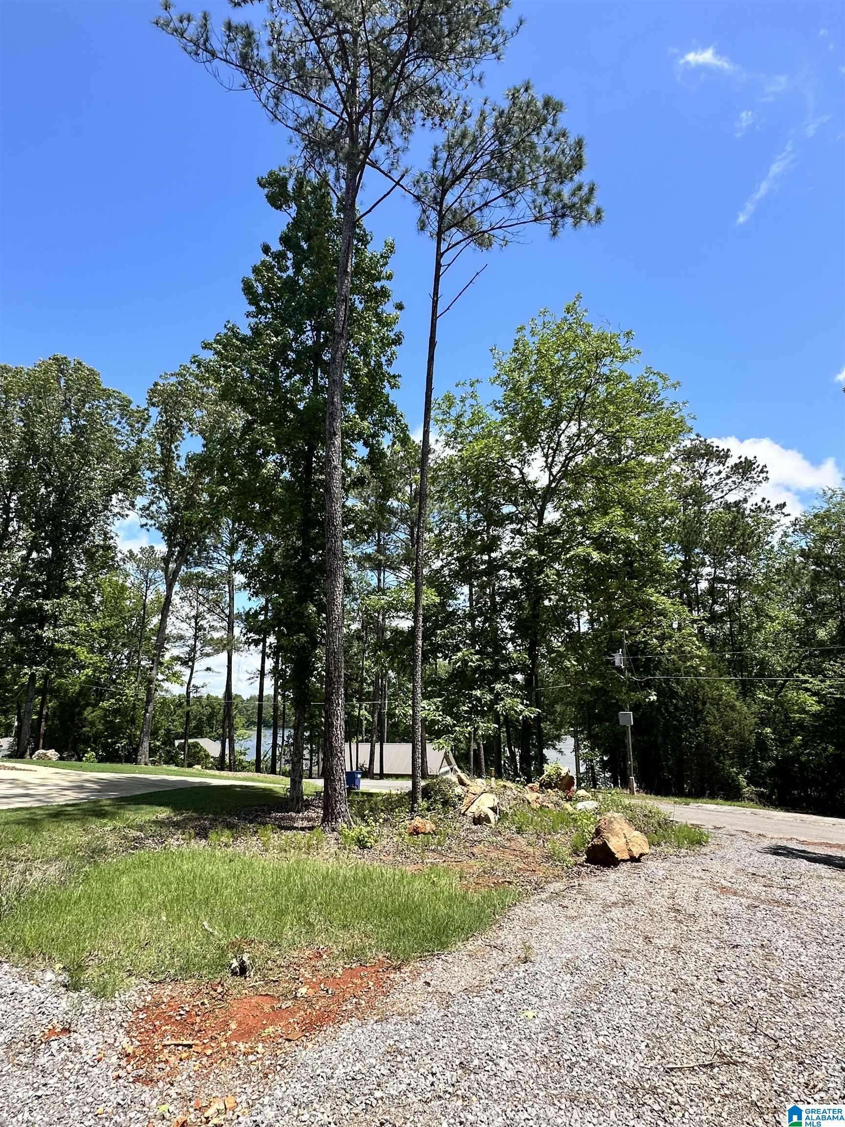 Cropwell, AL 35054,350 BLACK ACRES ROAD #11