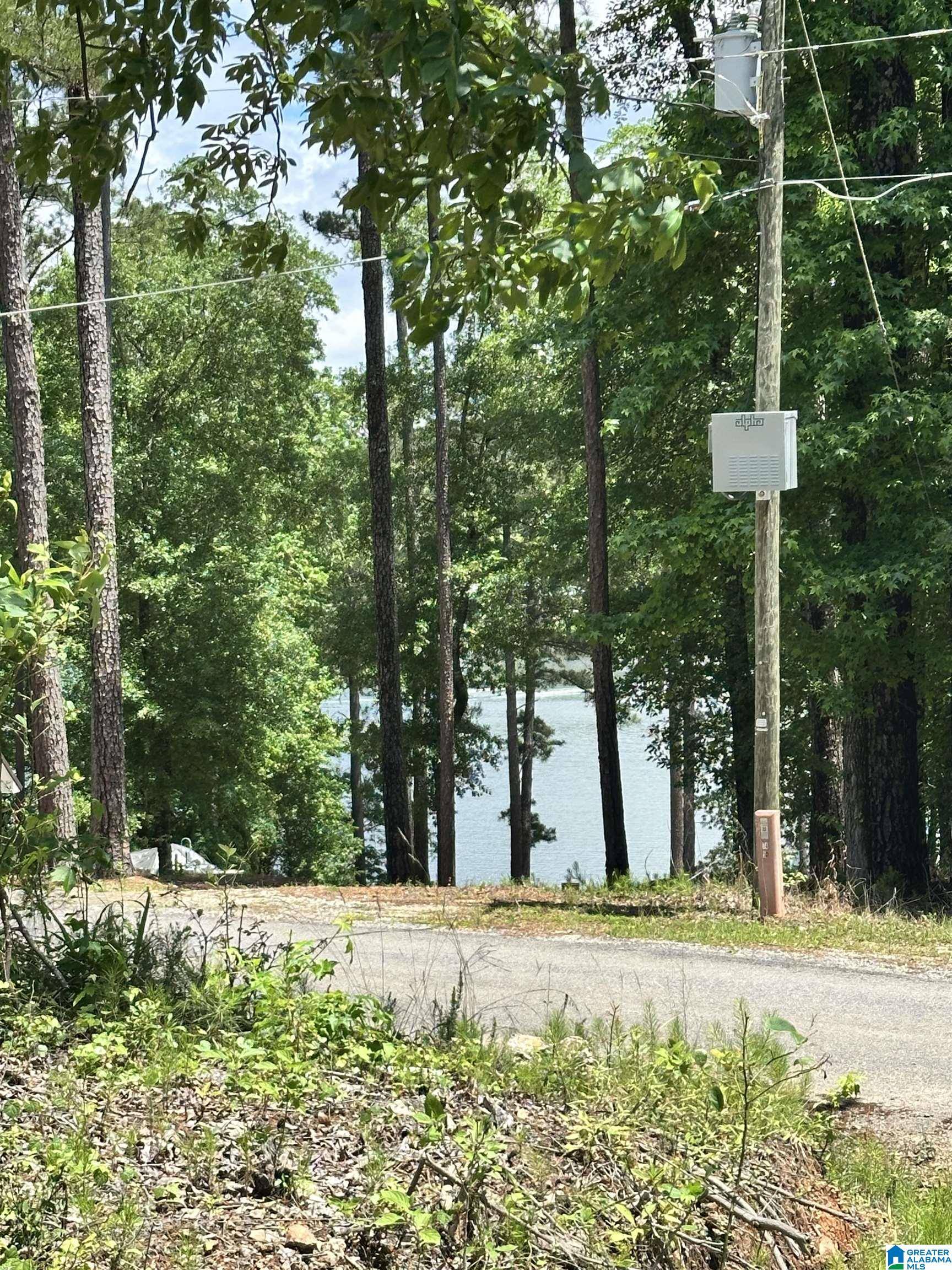Cropwell, AL 35054,350 BLACK ACRES ROAD #11