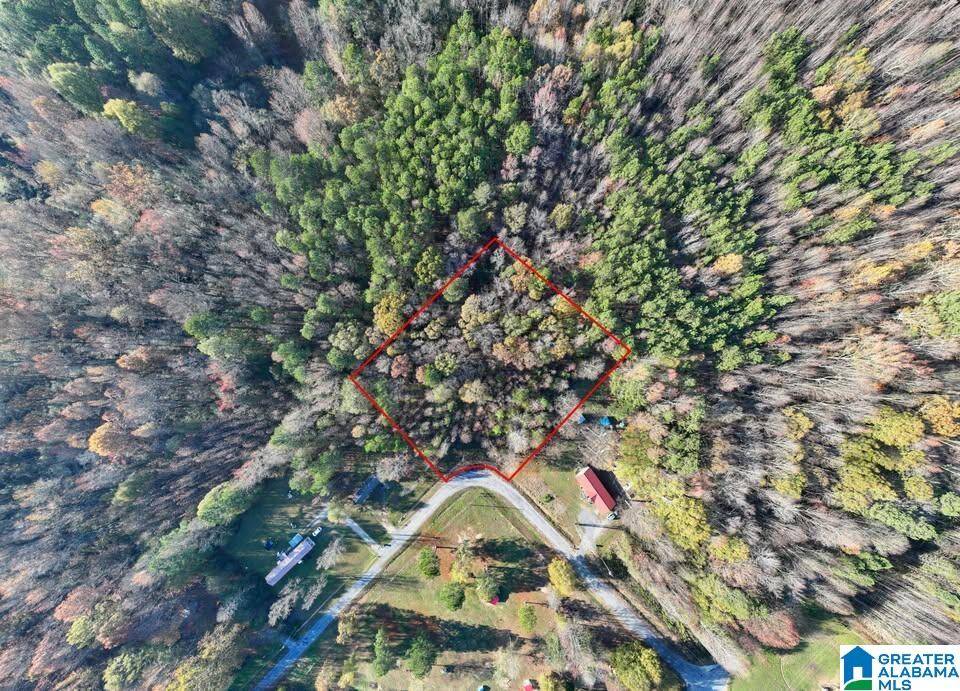 Geraldine, AL 35974,0 COUNTY ROAD 583 #7