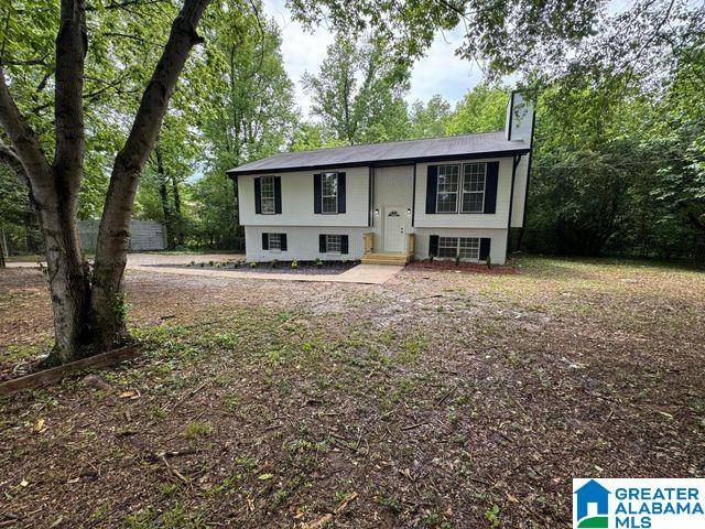 Mount Olive, AL 35117,6370 BALL PARK ROAD