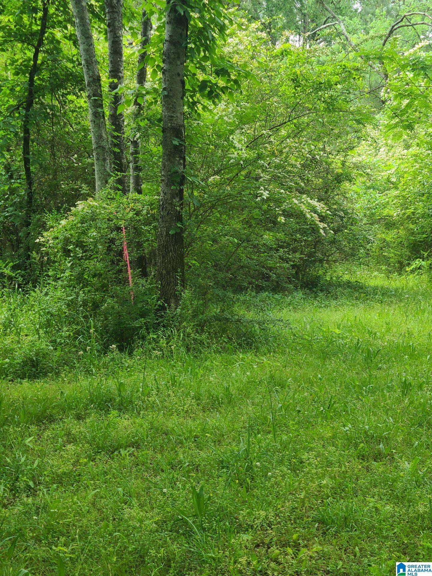 Anniston, AL 36206,6114 SPRUCE DRIVE #0