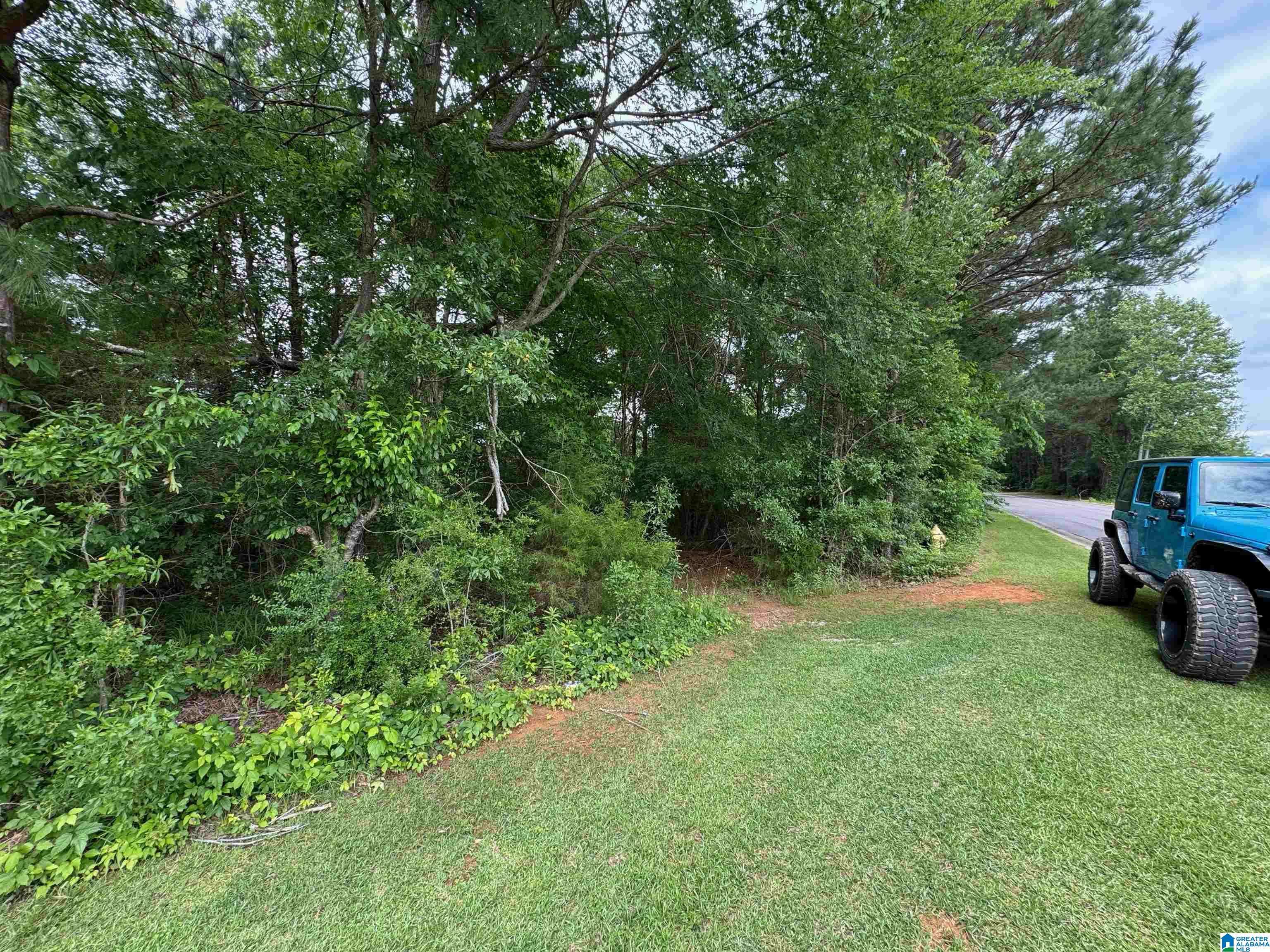 Wilsonville, AL 35186,250 HARBOUR DRIVE #8A