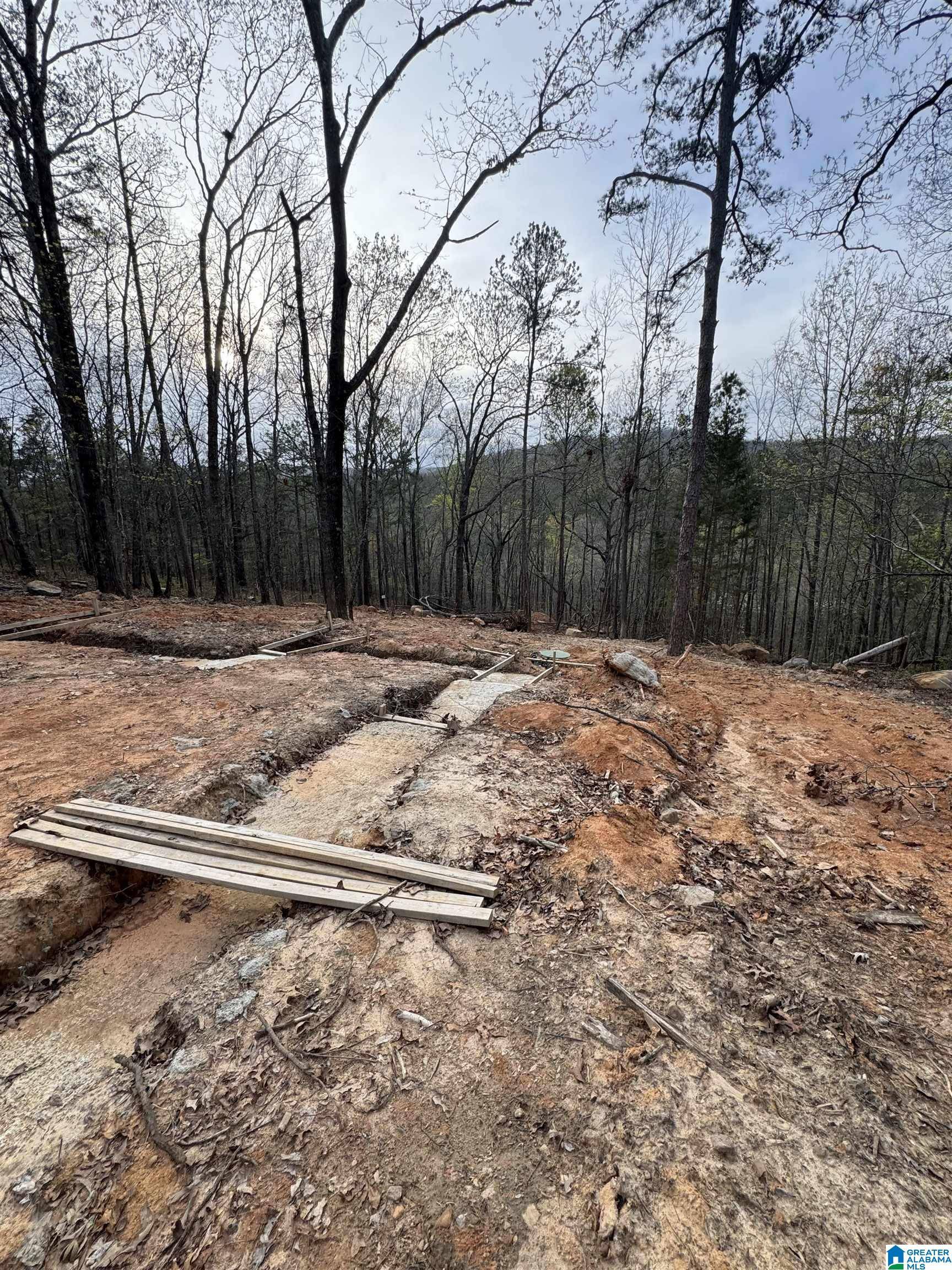Oxford, AL 36203,823 TIMOTHY DRIVE #12